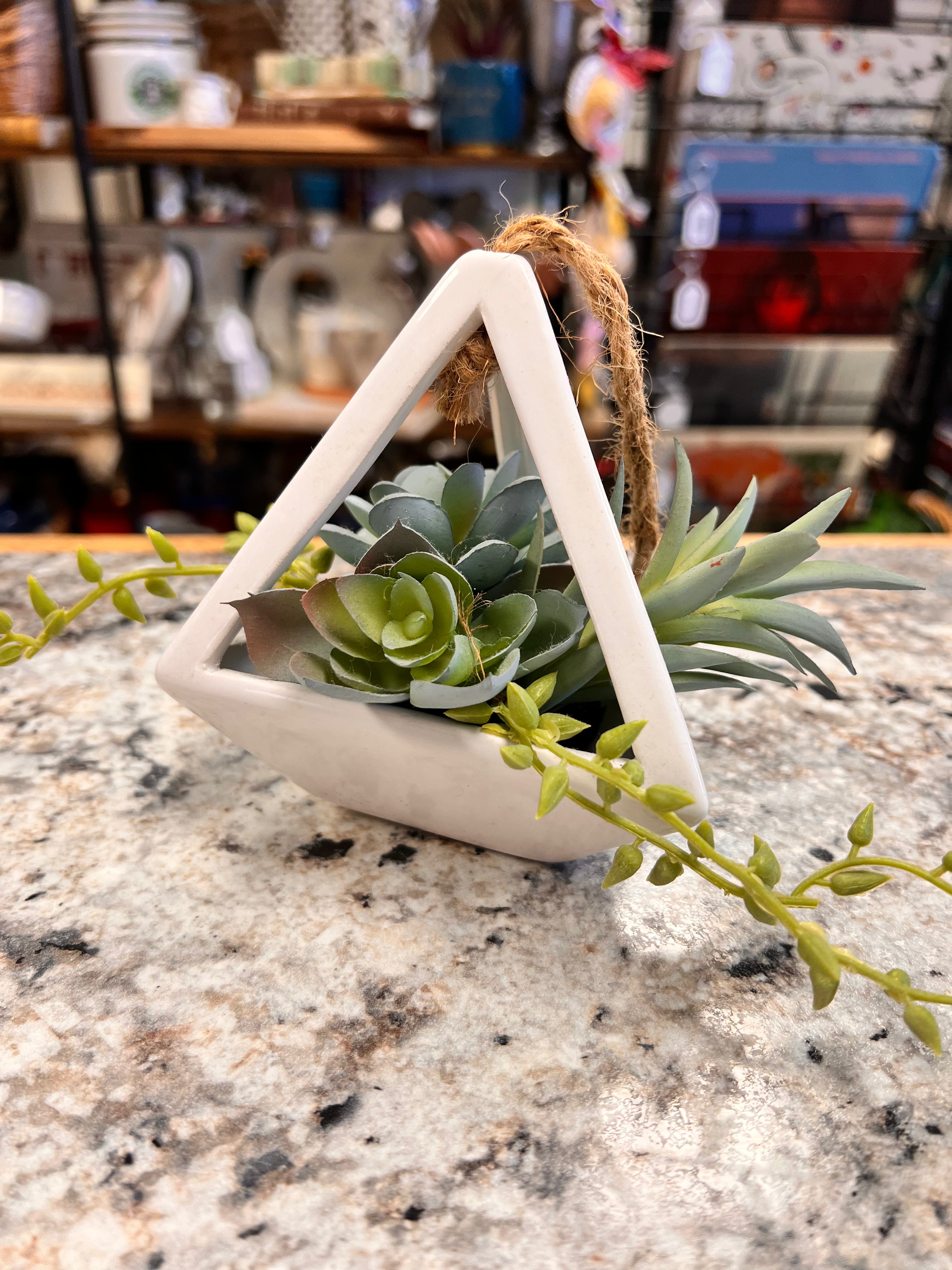 Hanging Plant