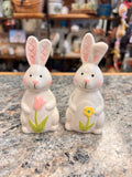 Bunny Shaker Set