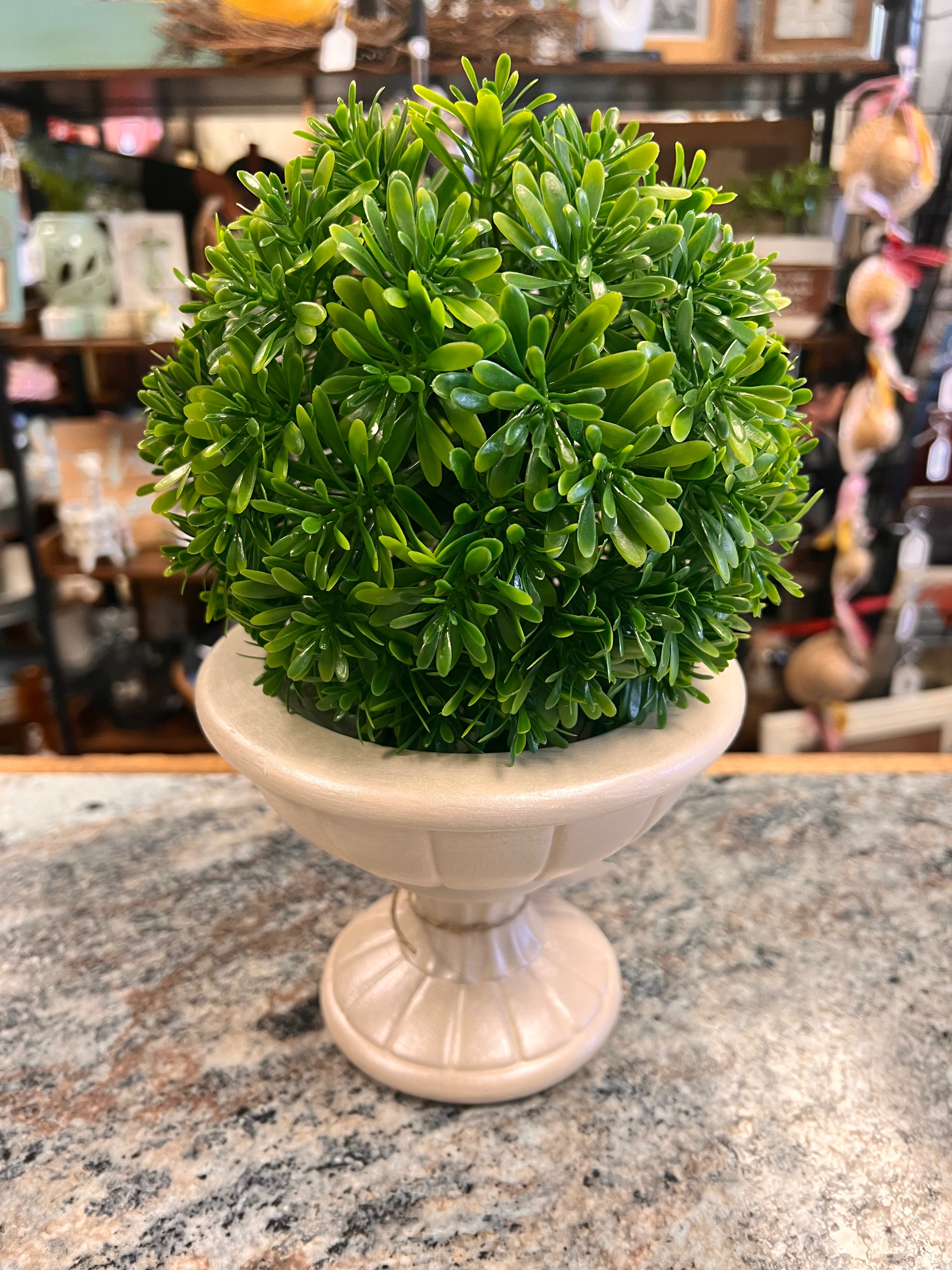 Plant Decor