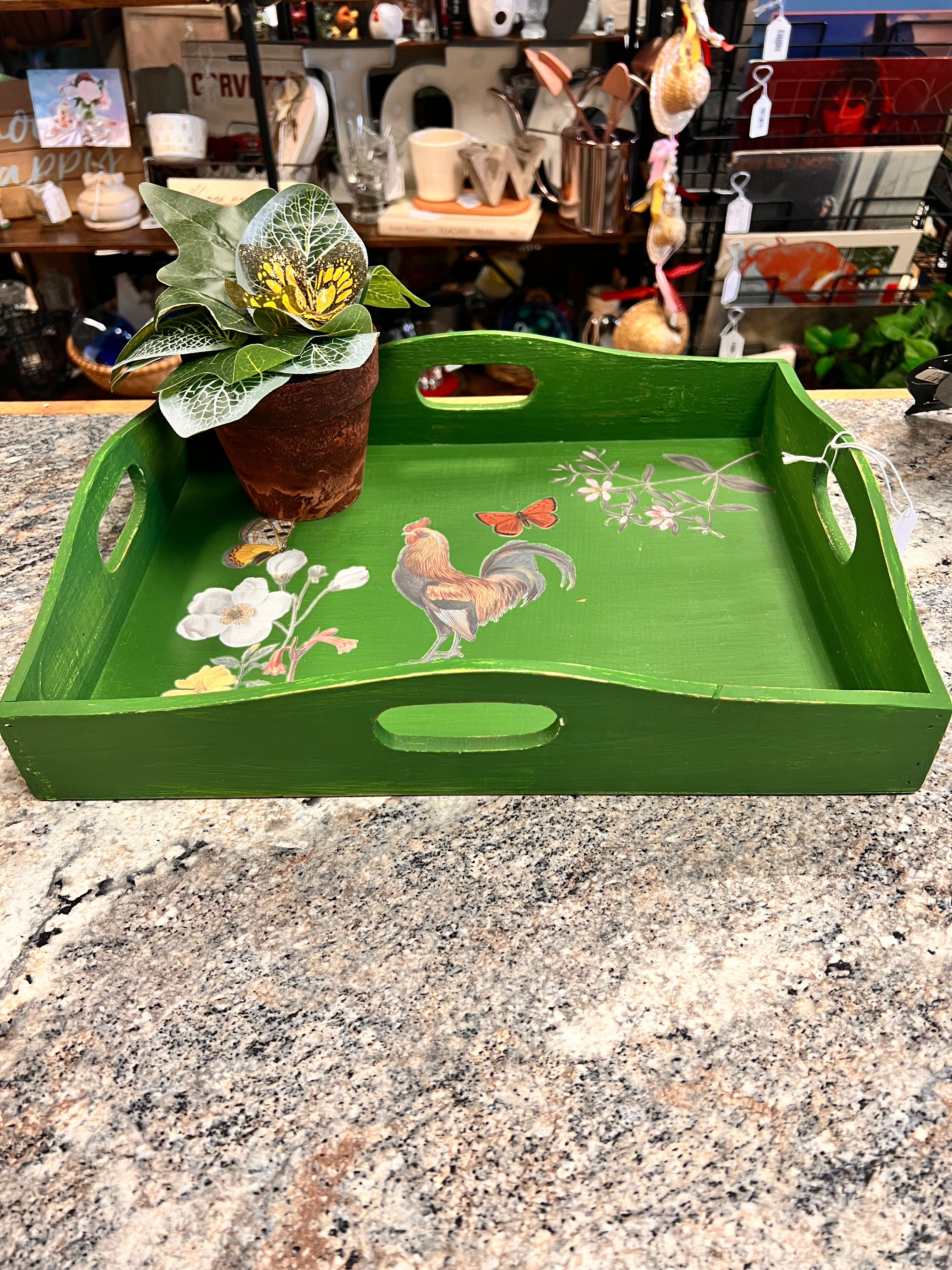 Tray & Plant