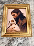My Solace Picture