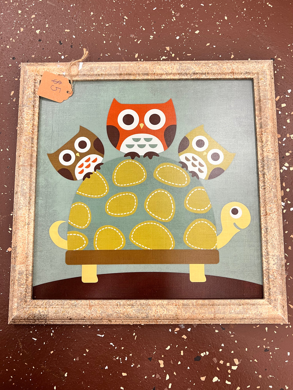 Owl Picture