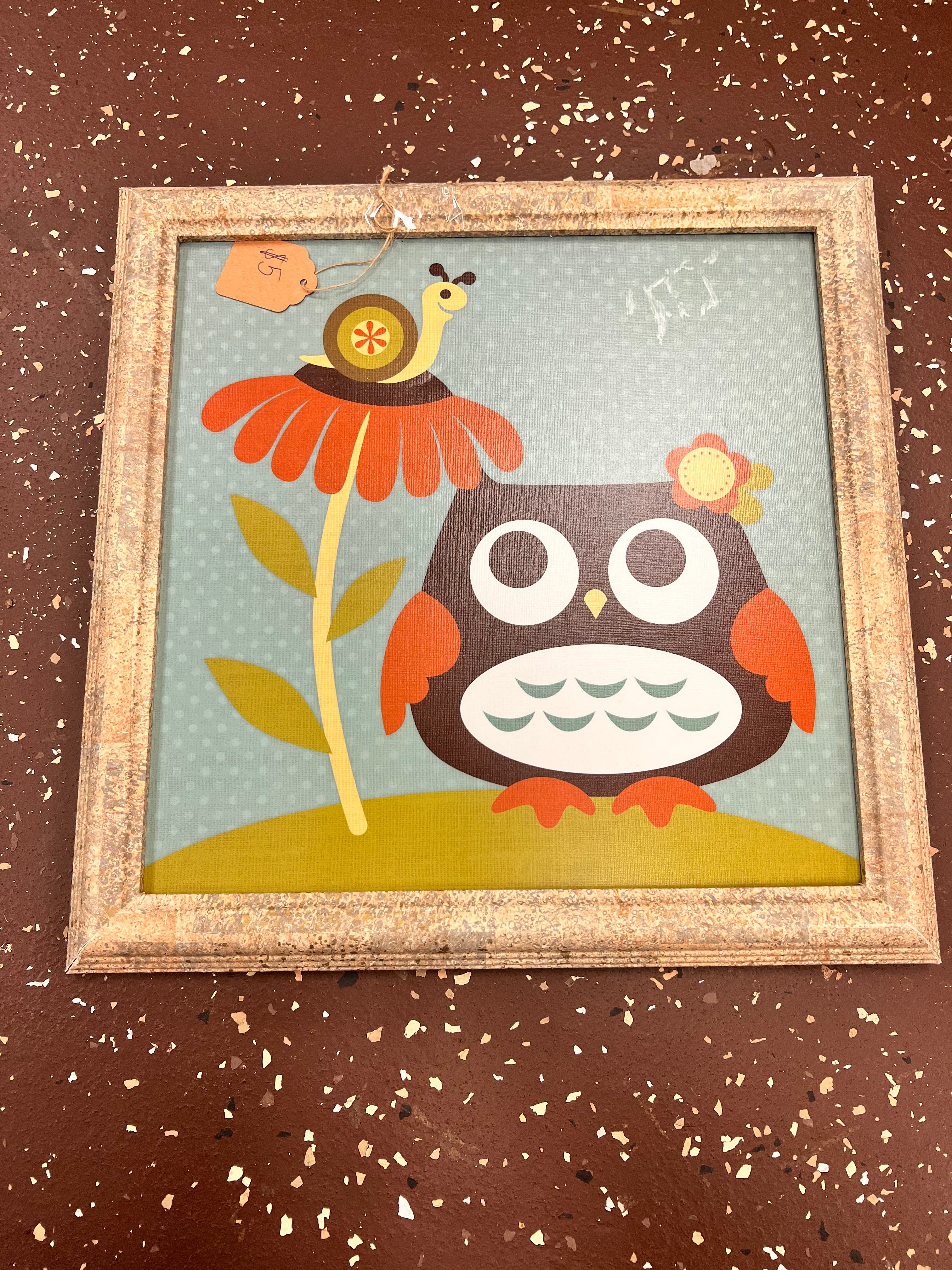 Owl Picture 2