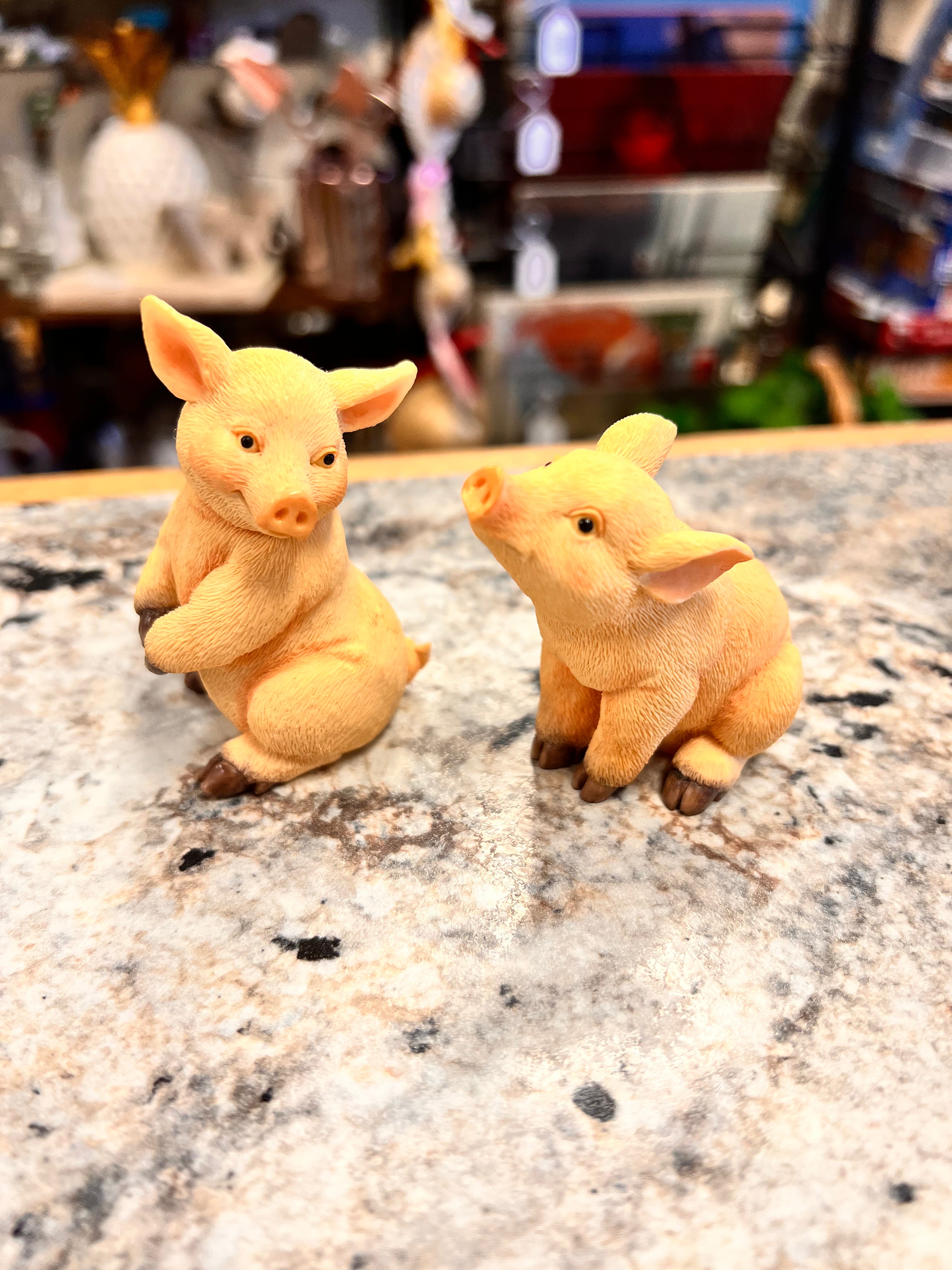 Pig Set