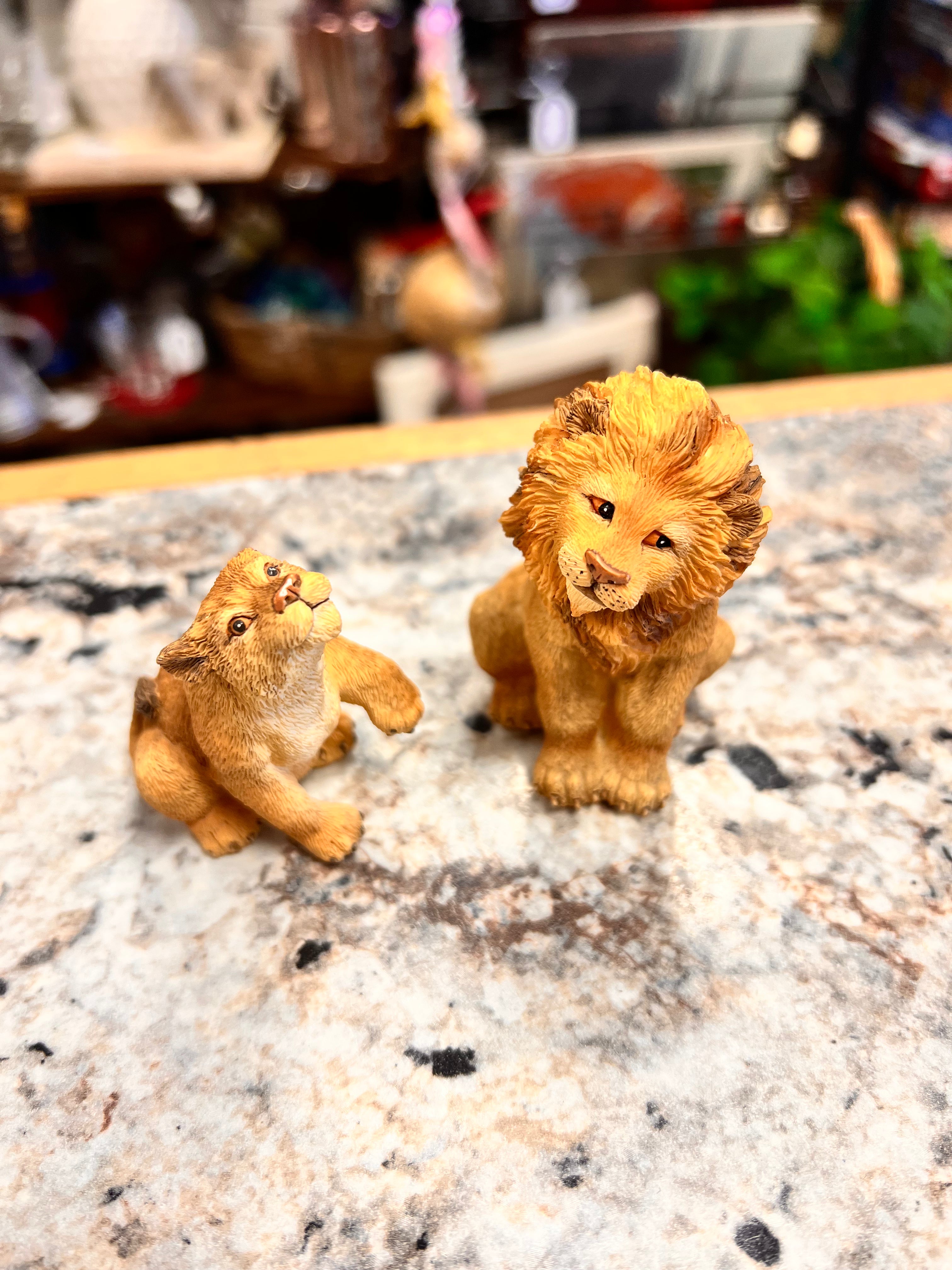 Lion Set