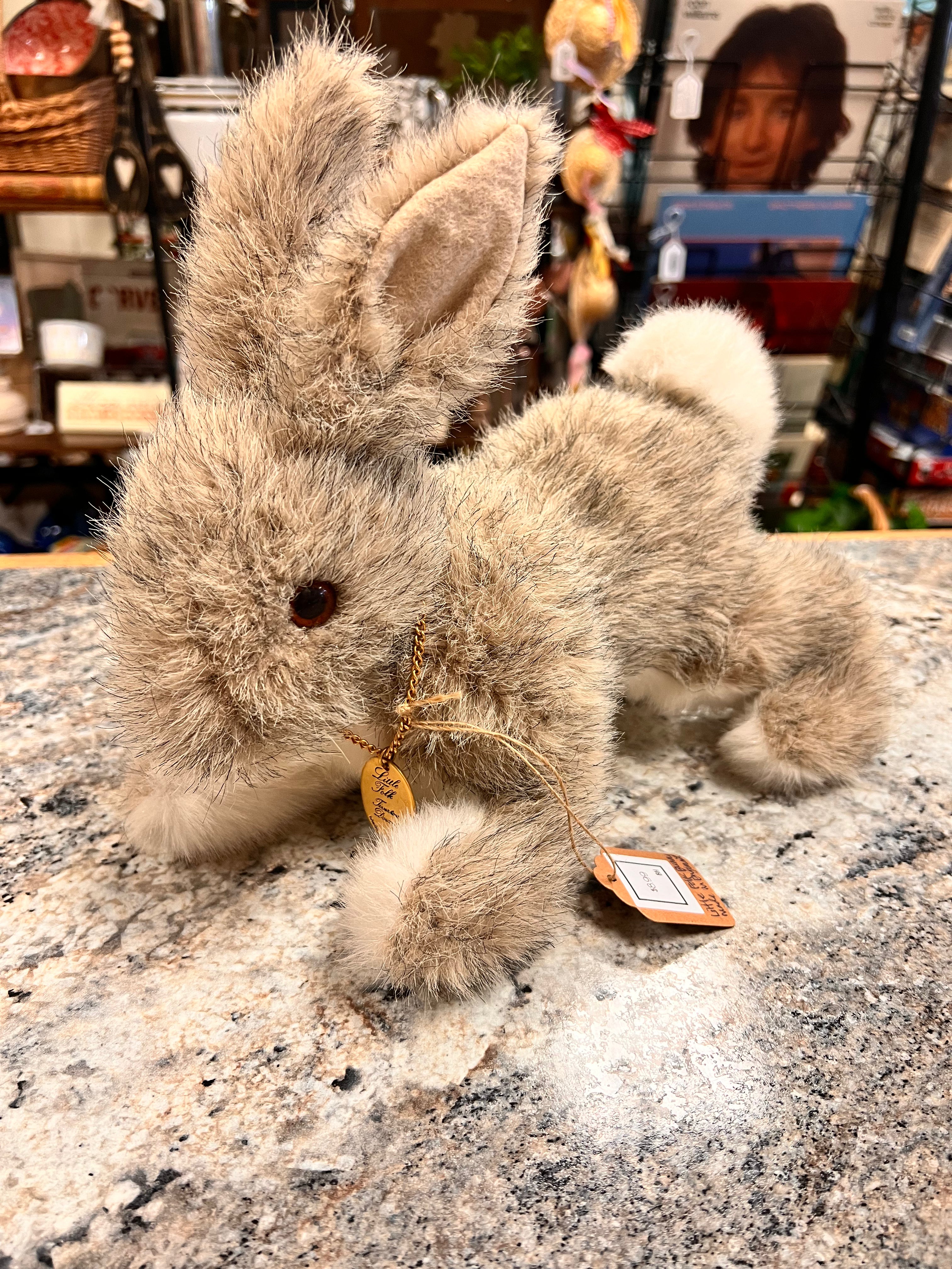 Bunny