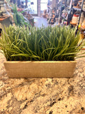 Plant Decor