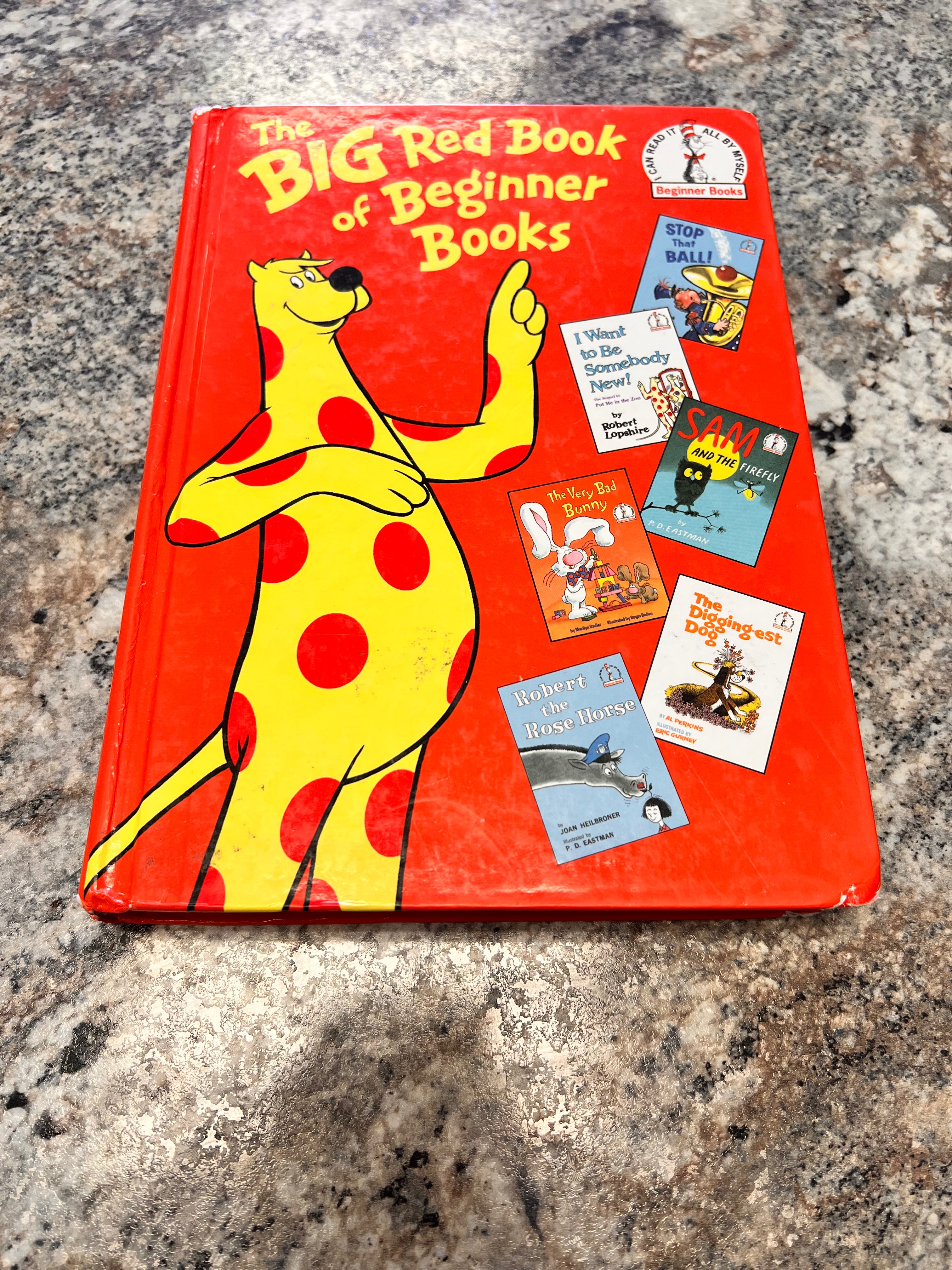 Dr. Seuss Book