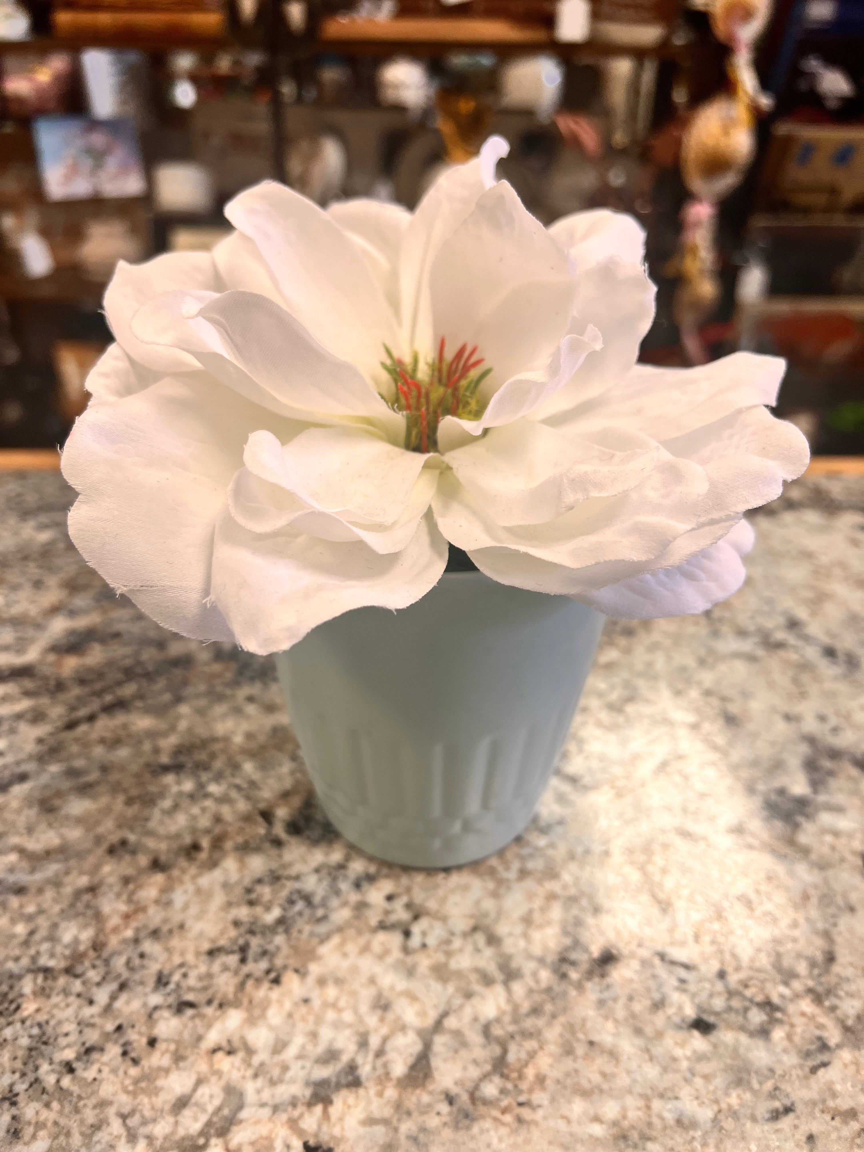 White Flower