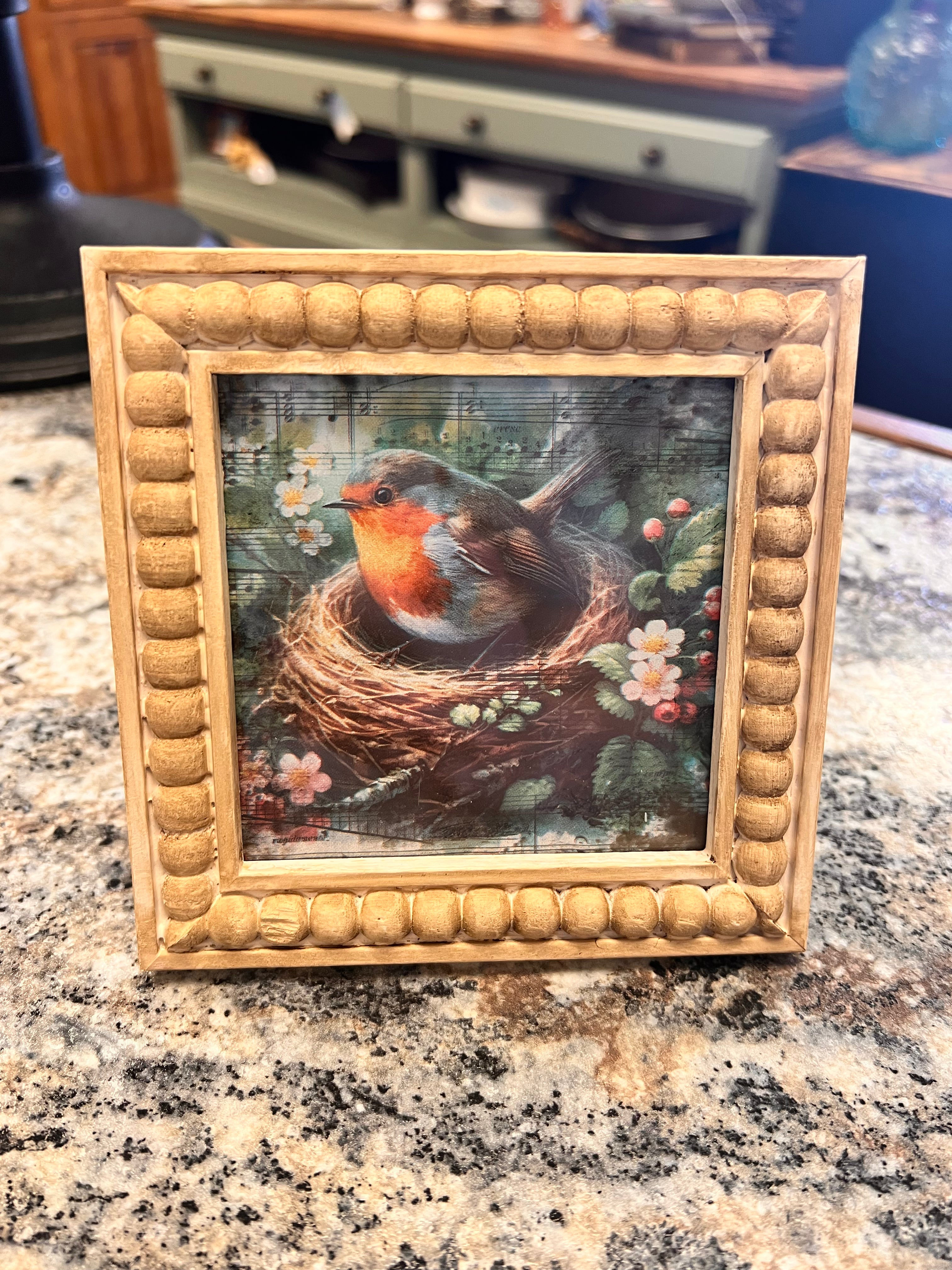 Bird Frame