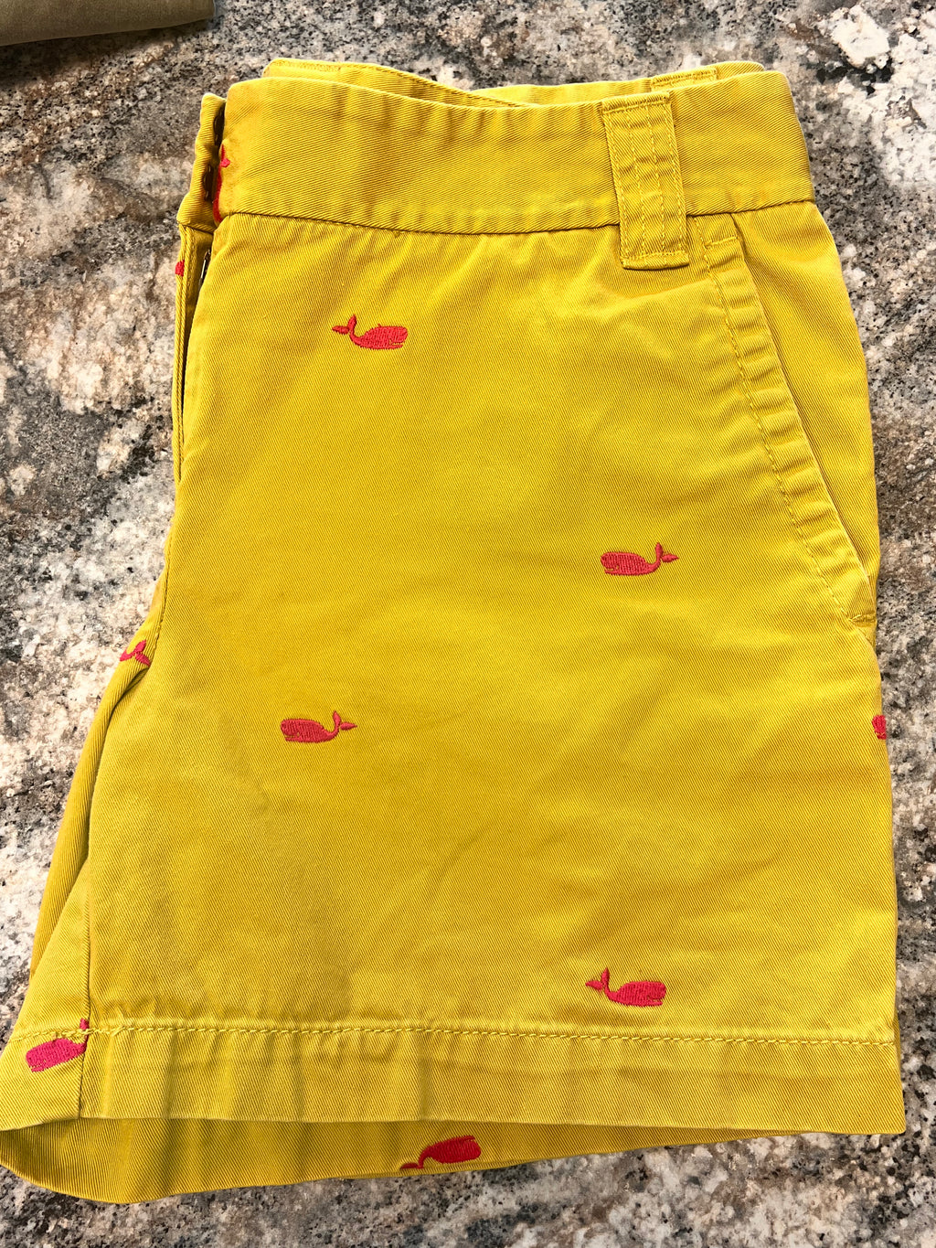 J Crew Shorts
