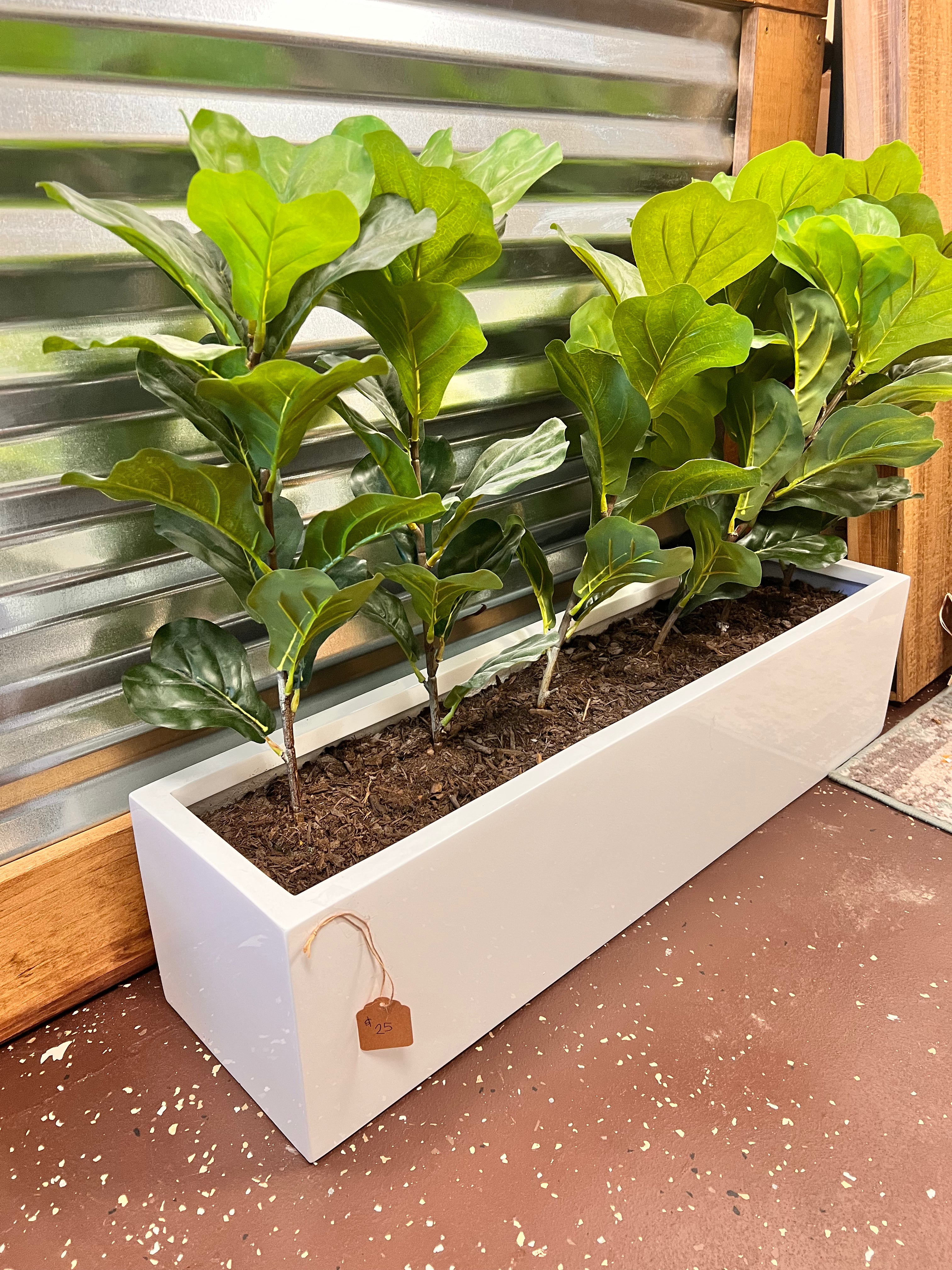 Planter Box