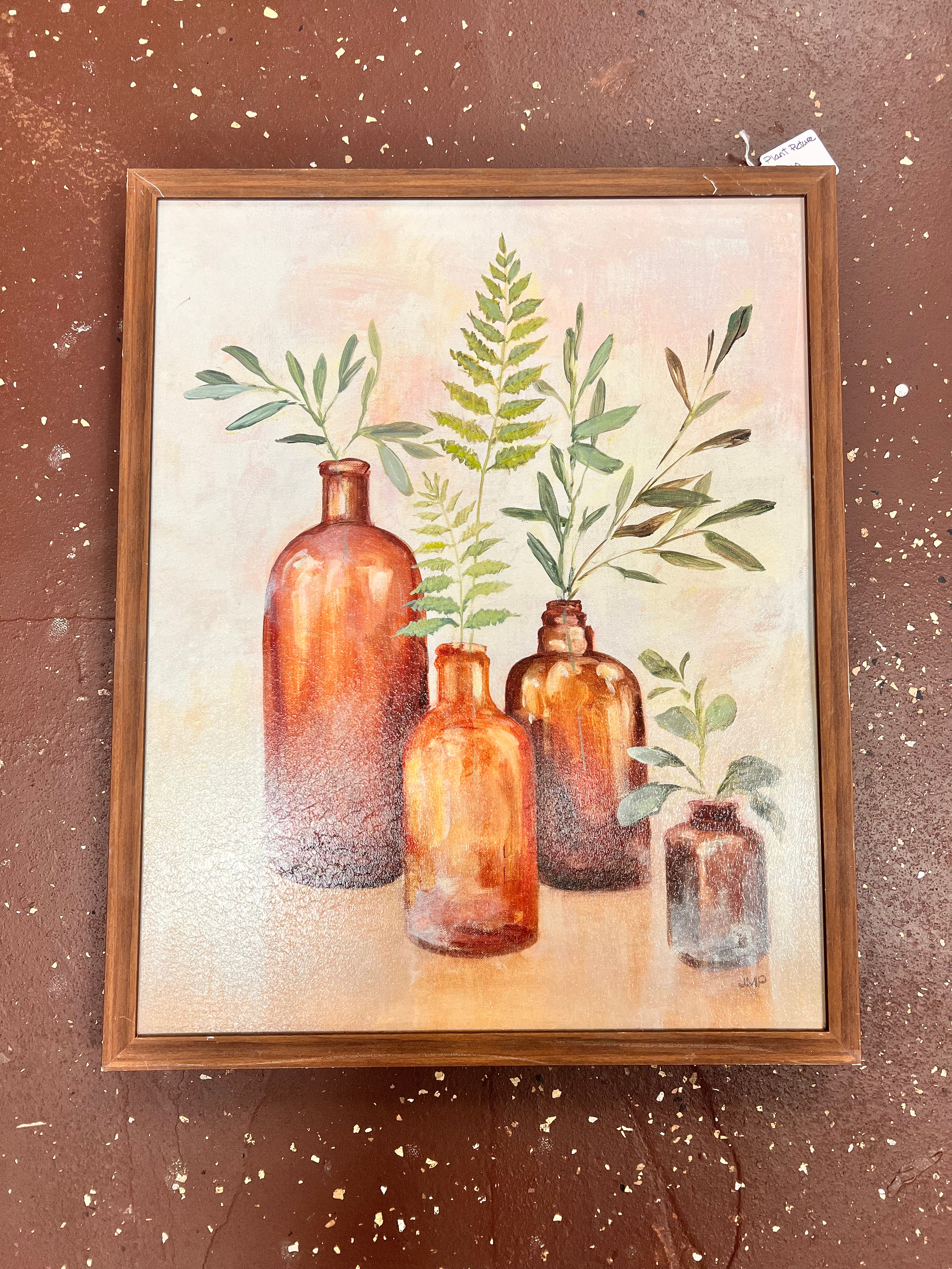 Plant Picture