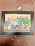 Herbs Picture