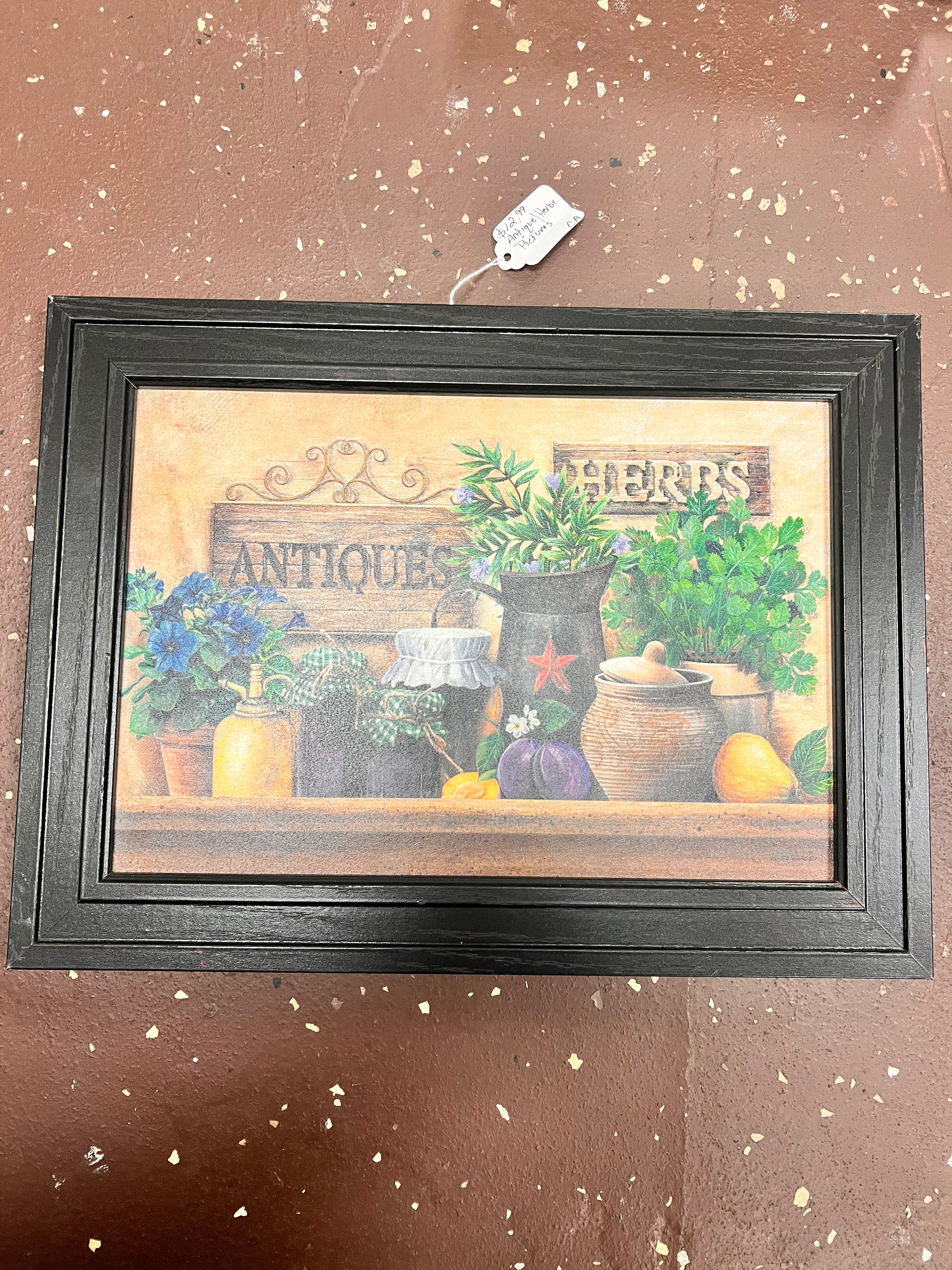 Herbs Picture