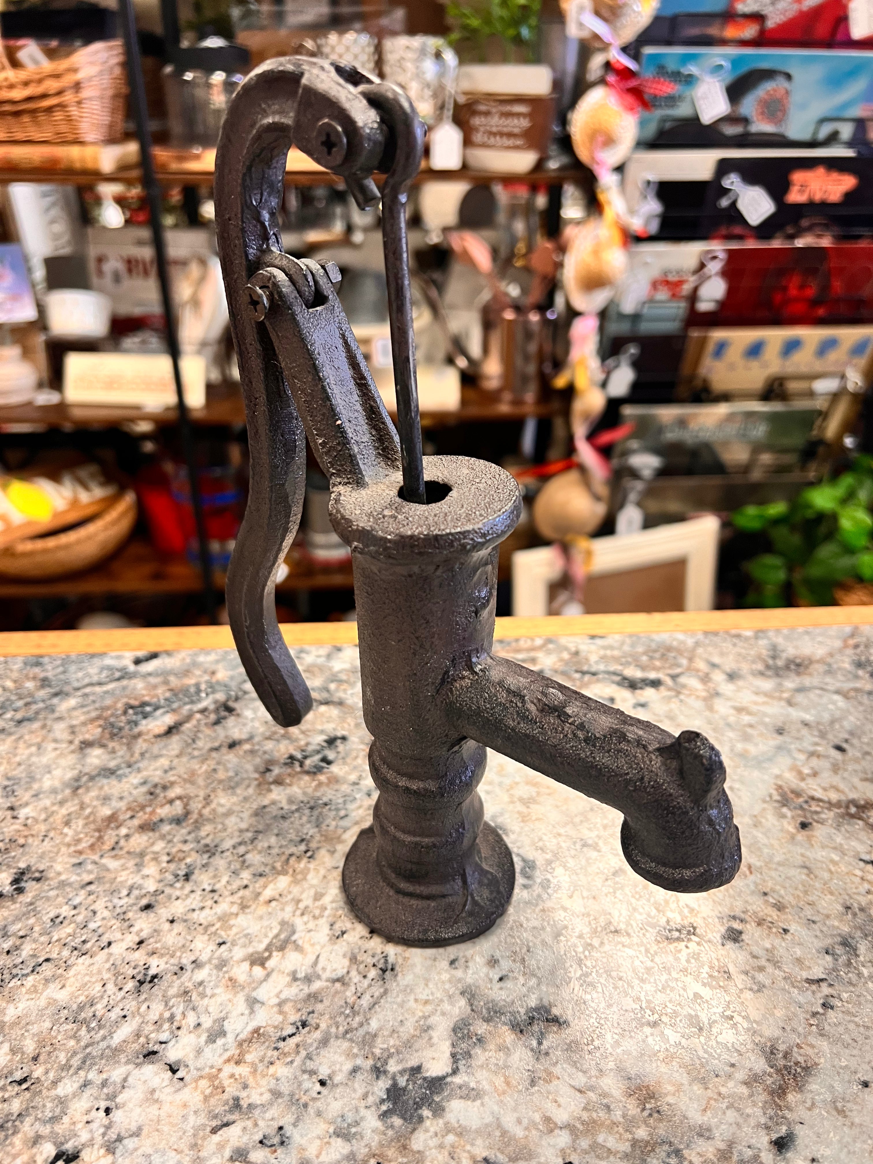 Cast Iron Pump