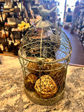 Birdcage Decor