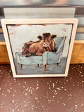 Cow Picture