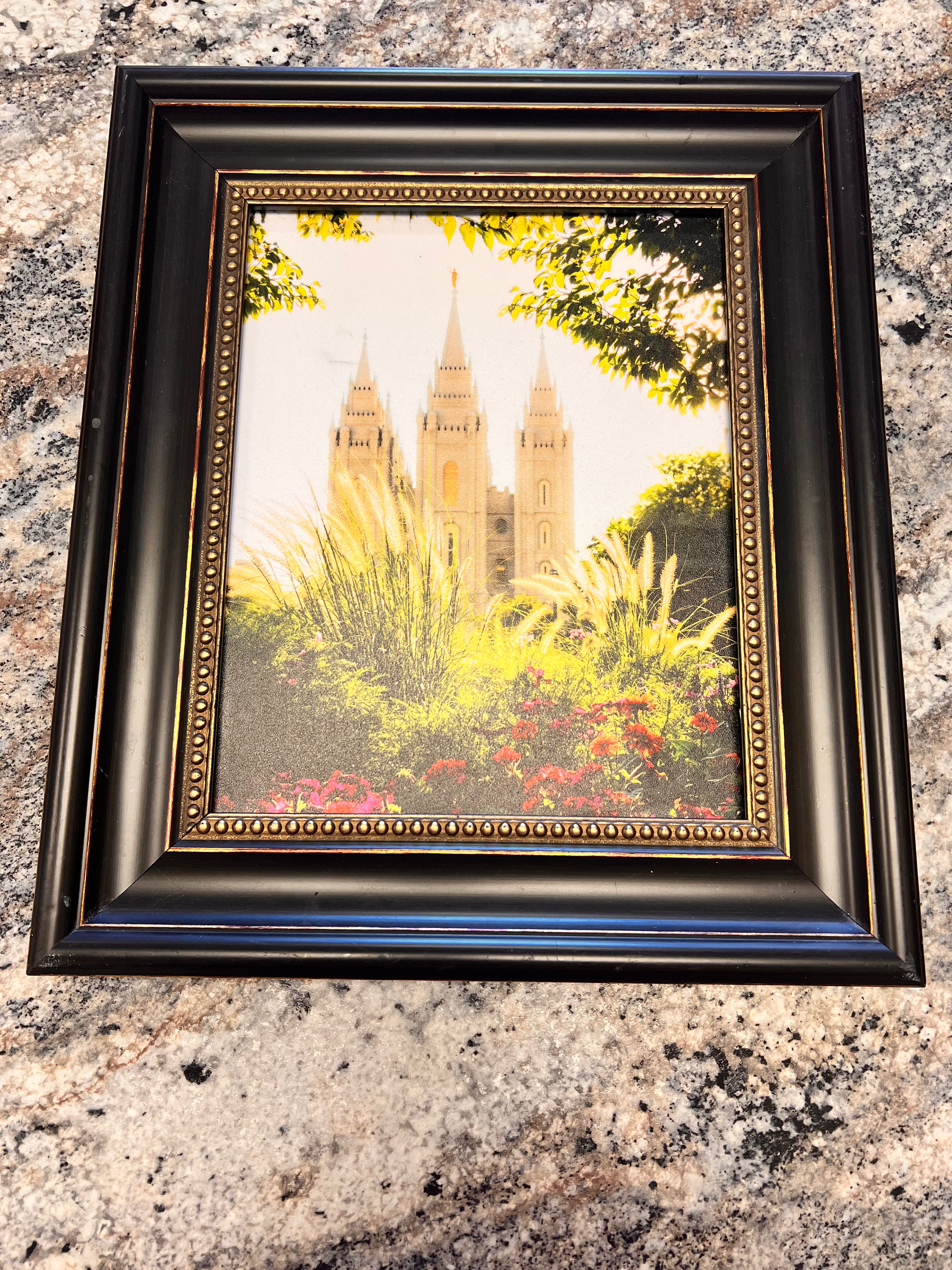 Temple Picture