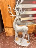 Gray Deer