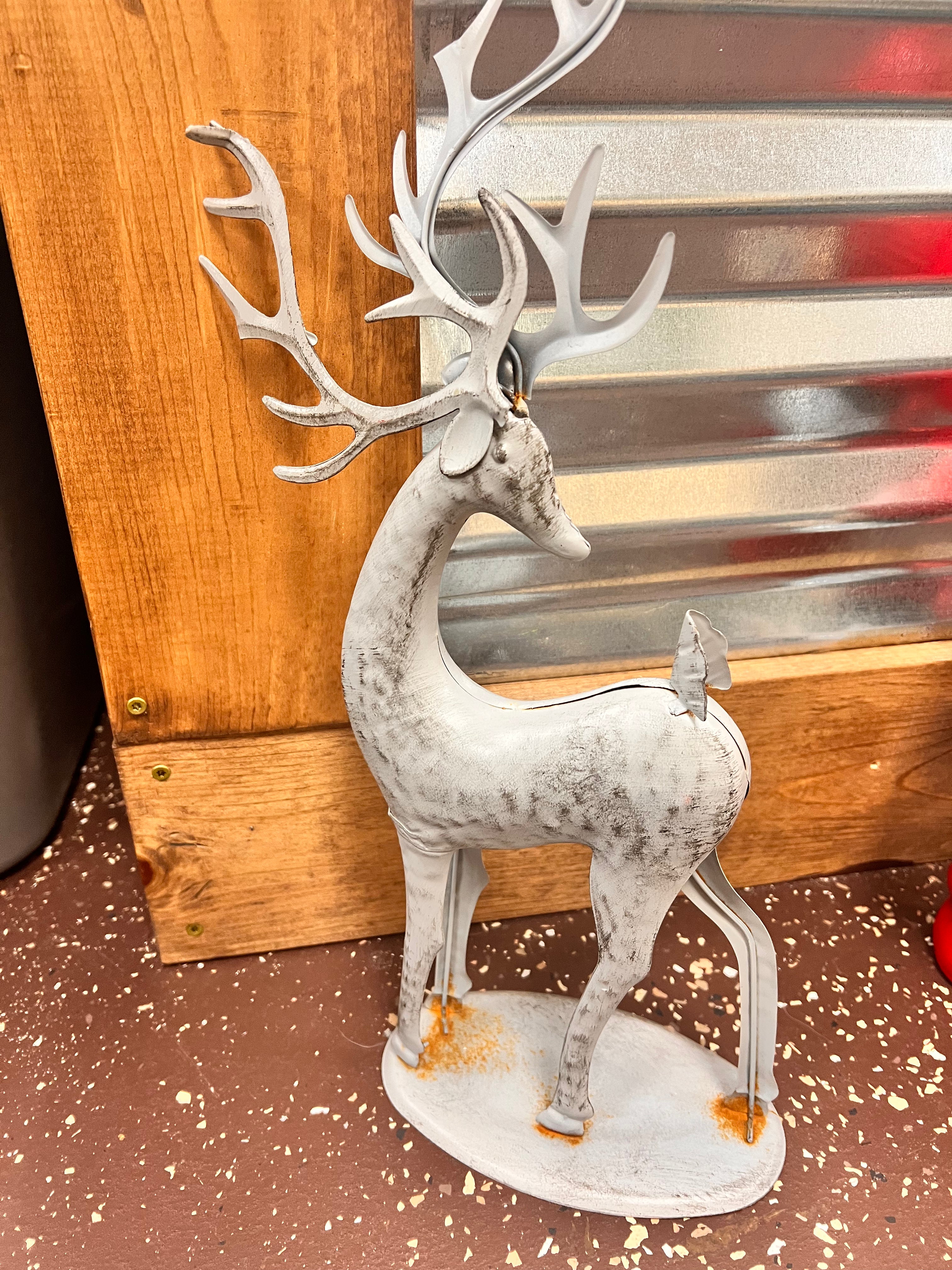 Gray Deer