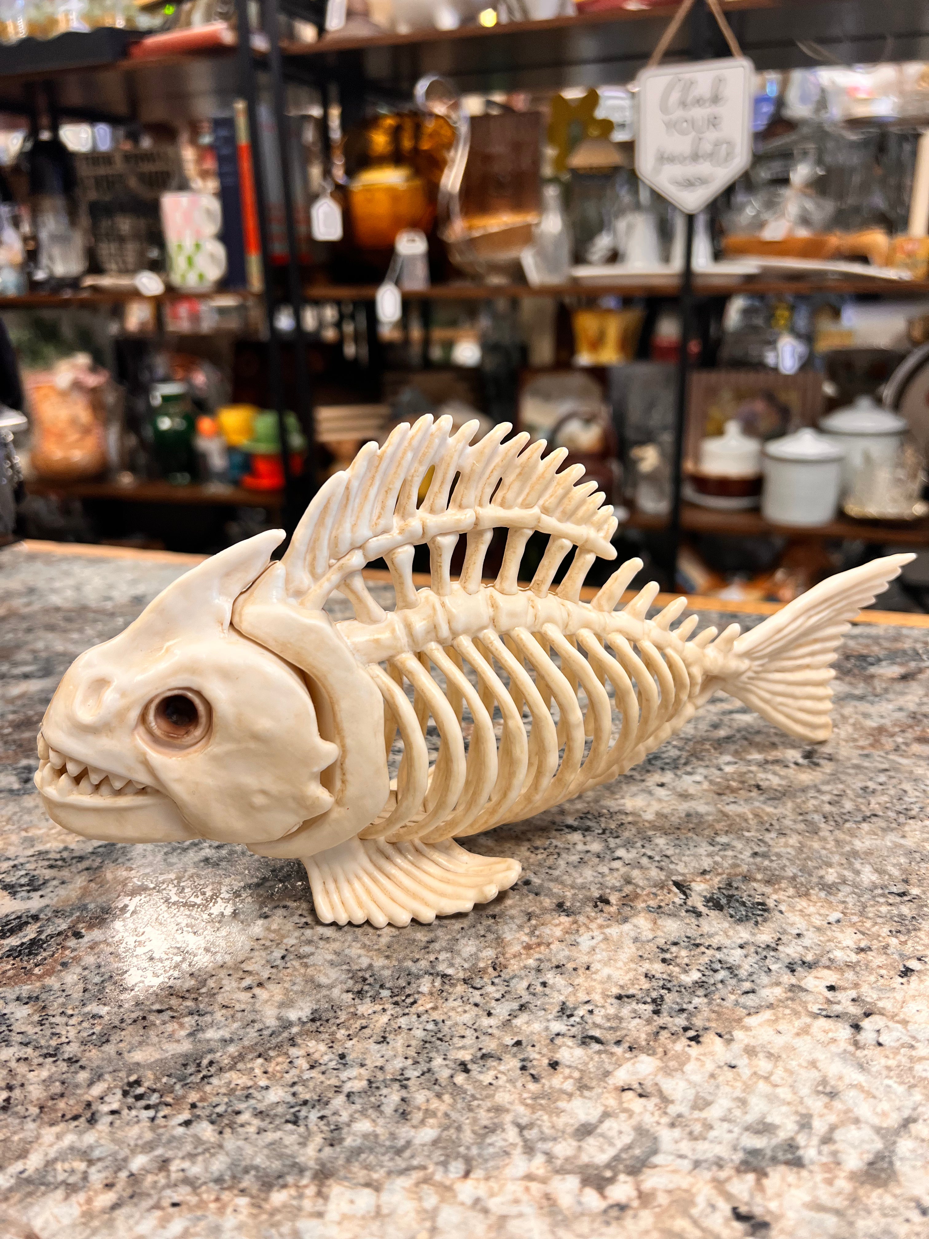 Fish Skeleton