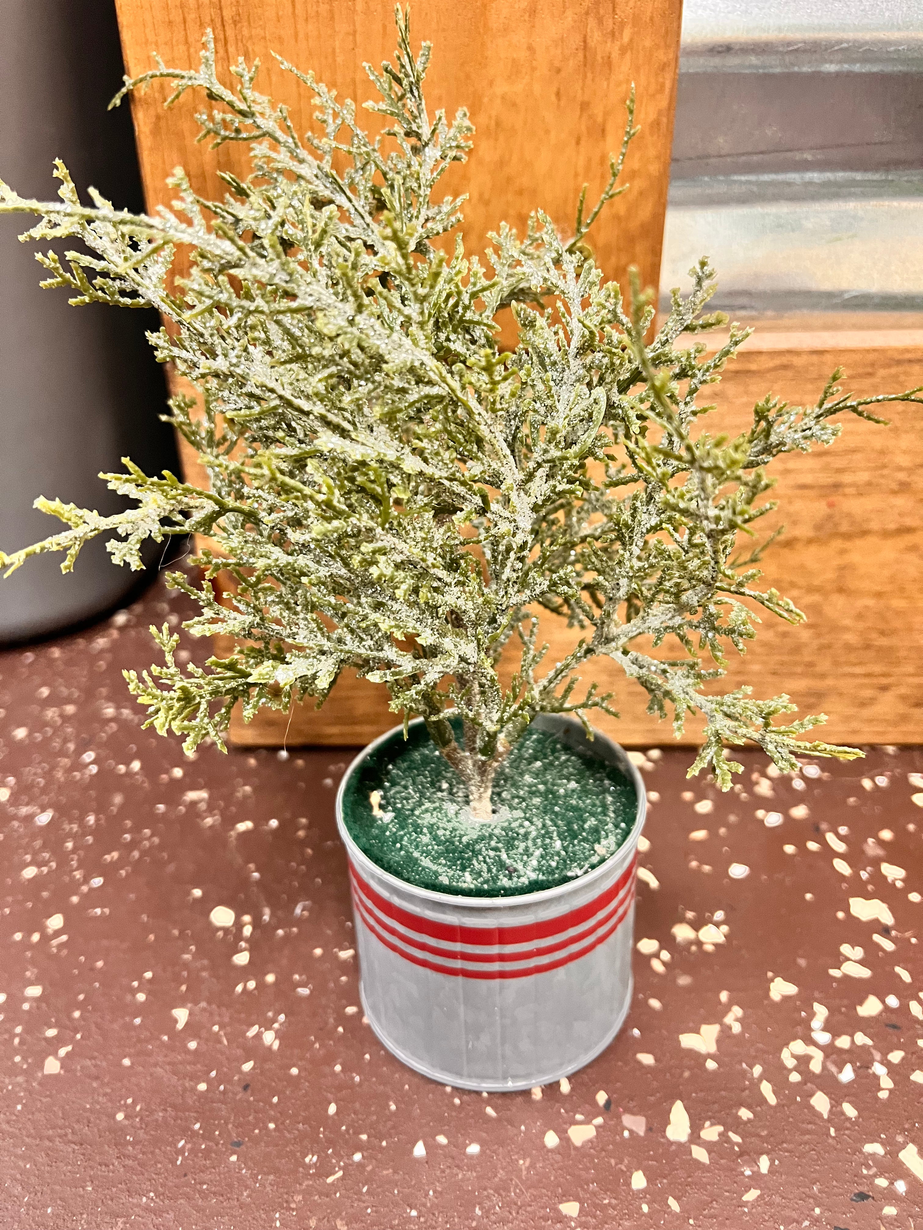 Holiday Plant