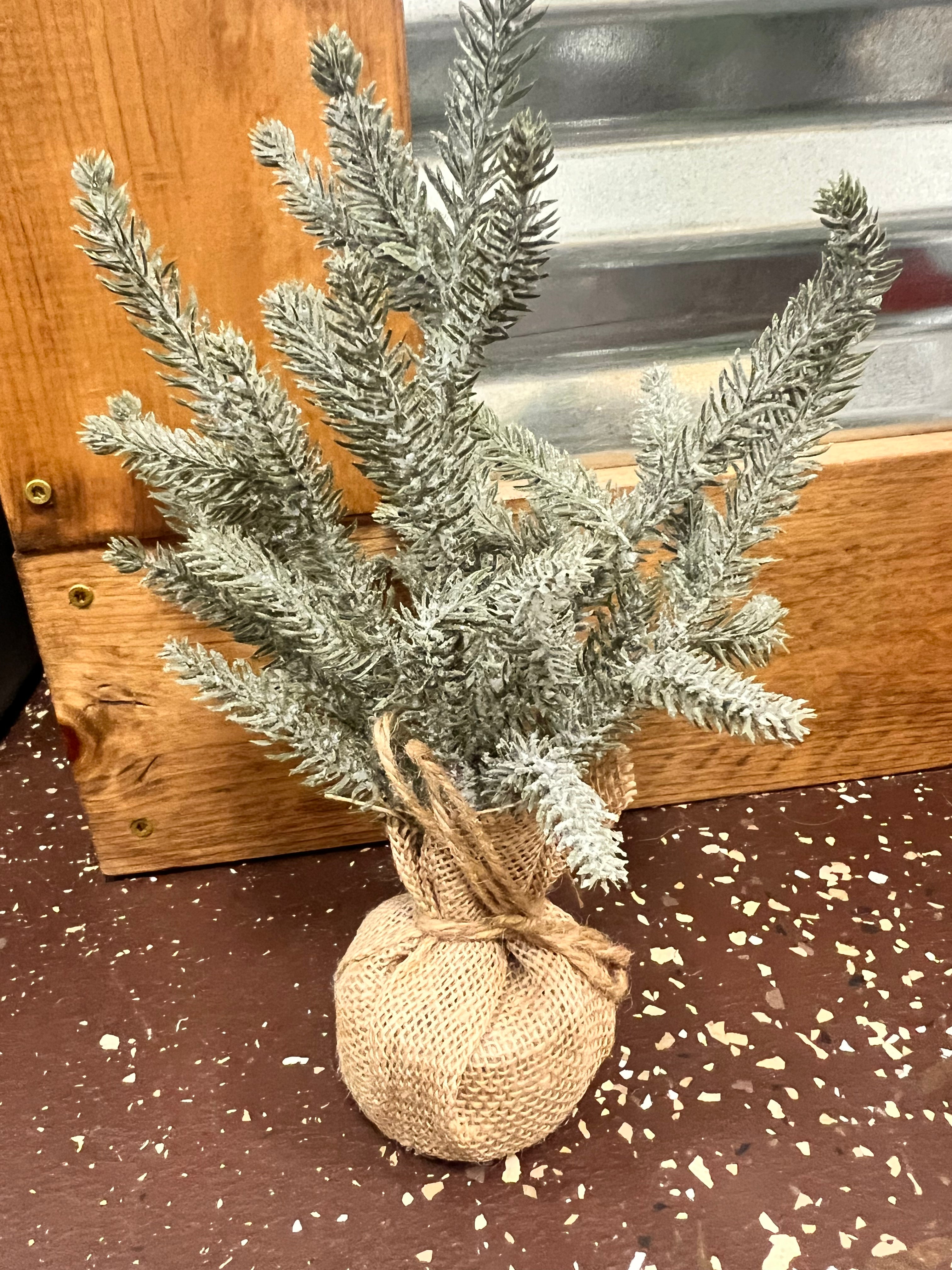 Pine Tree