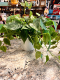 Faux Plant