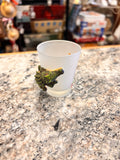 Shot Glass