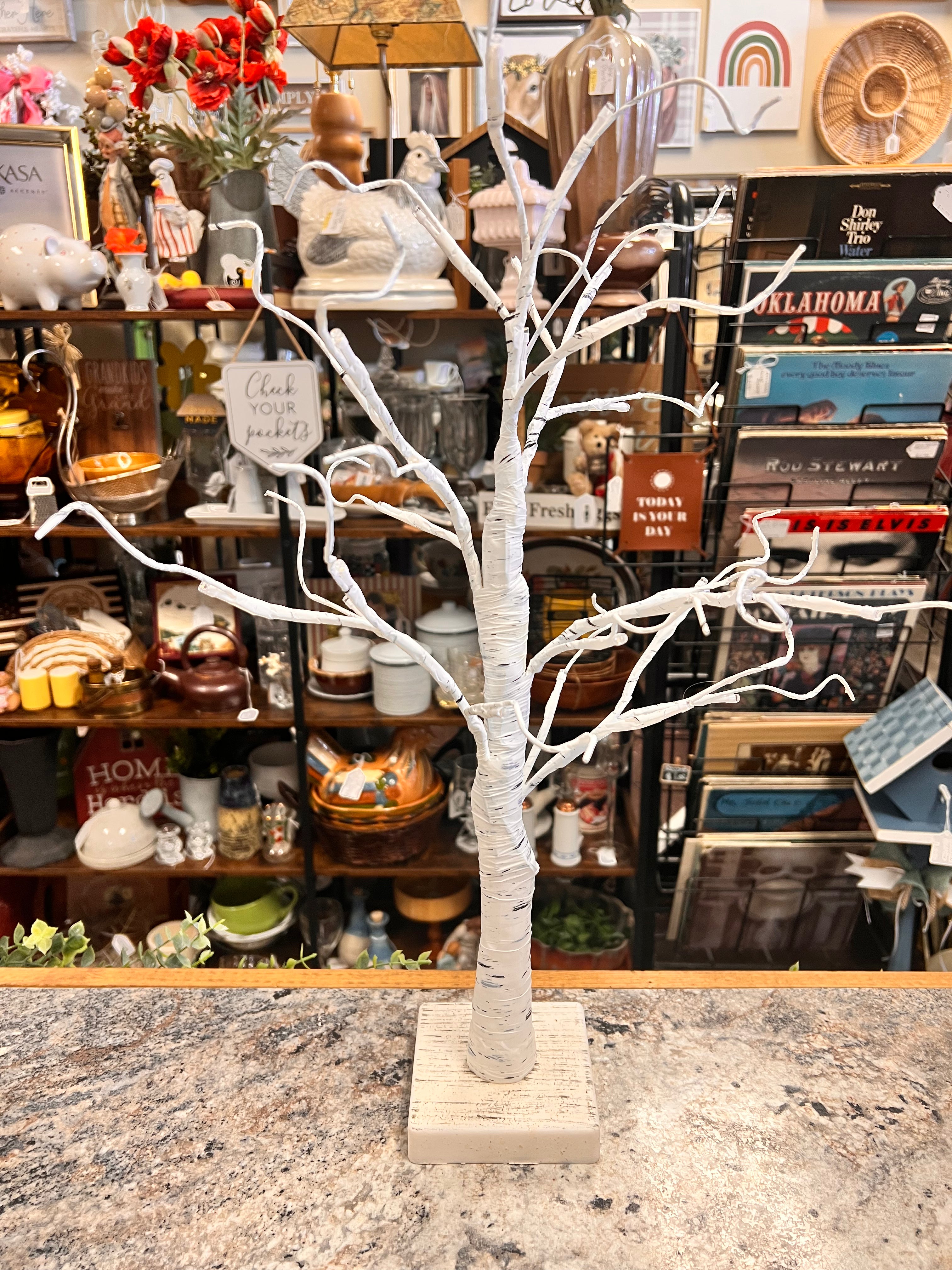 Light Up Tree