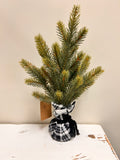 Mini Pine Tree