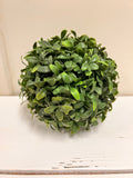 Round Plant