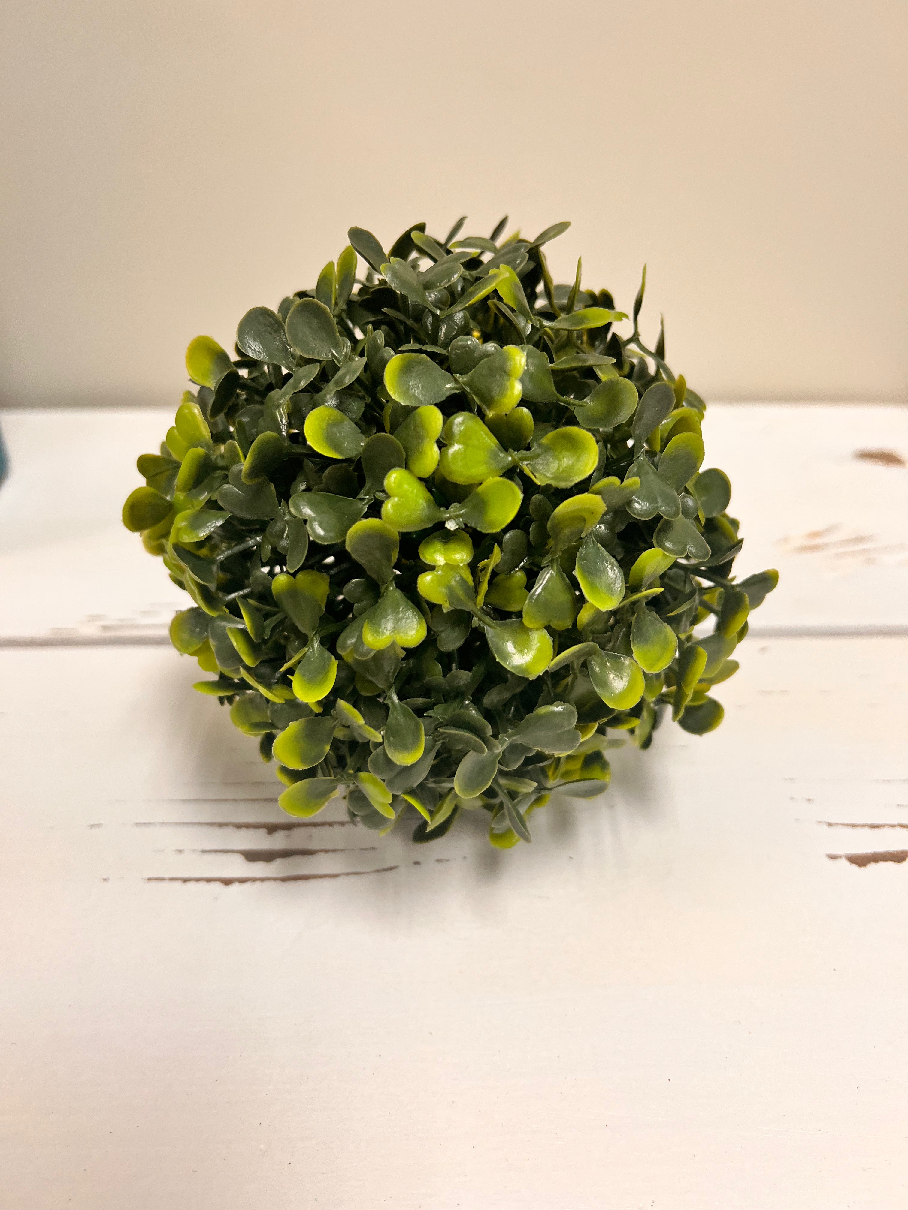 Round Plant