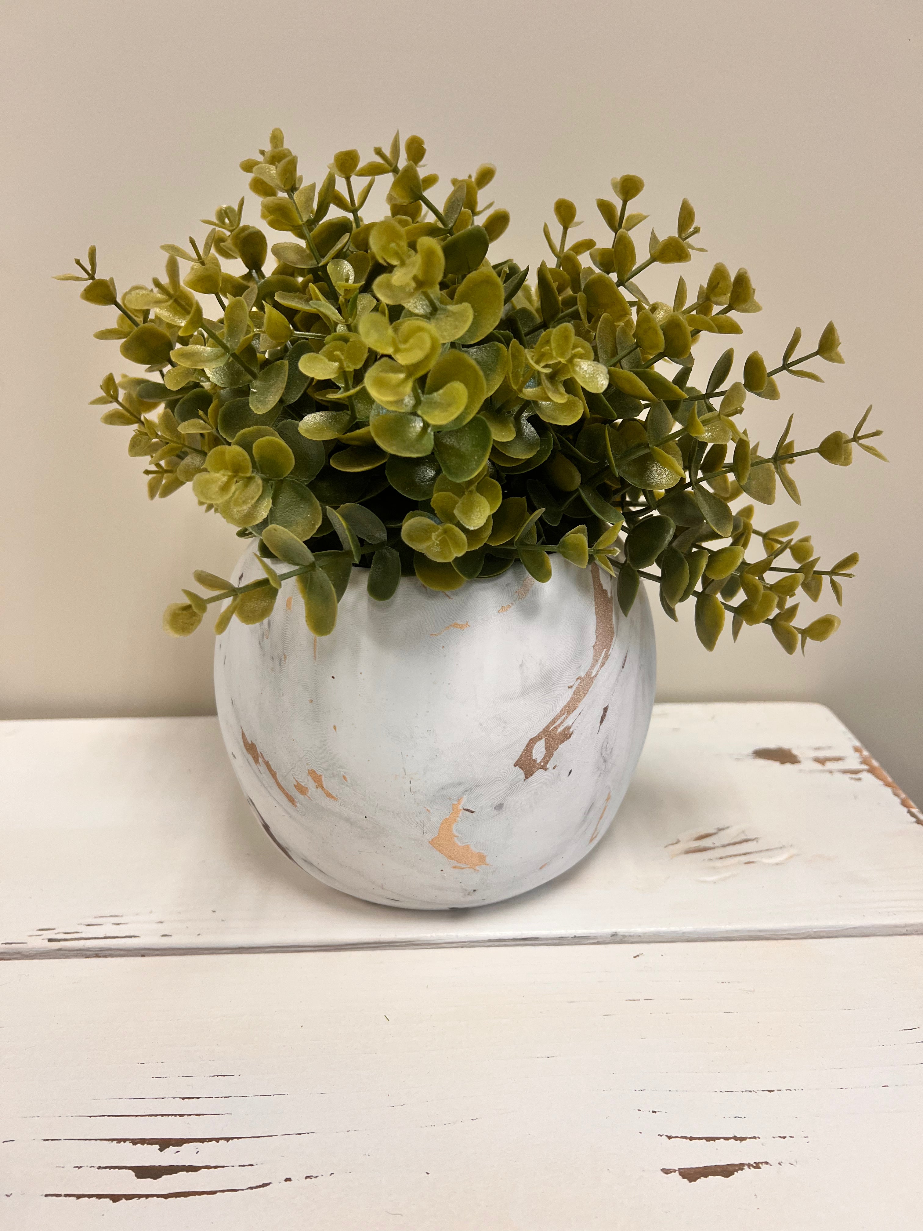 Plant & Pot