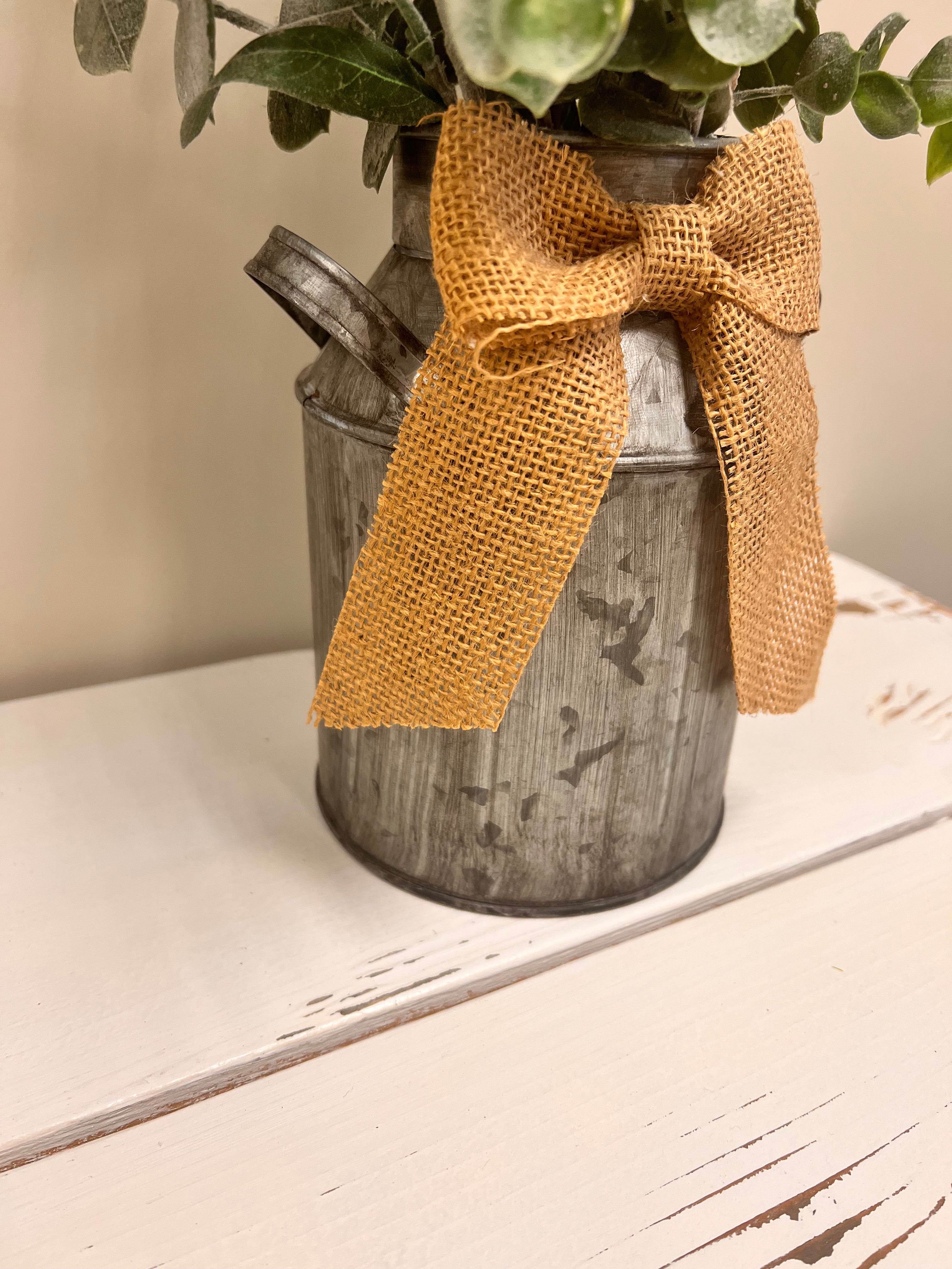 Jug & Plants