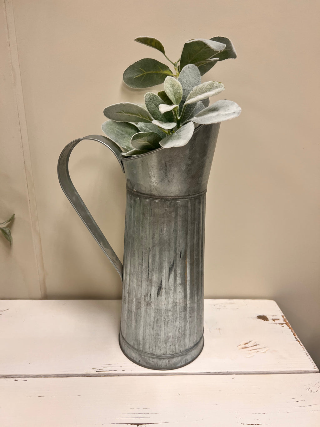 Pitcher & Plant