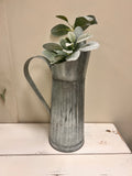 Pitcher & Plant