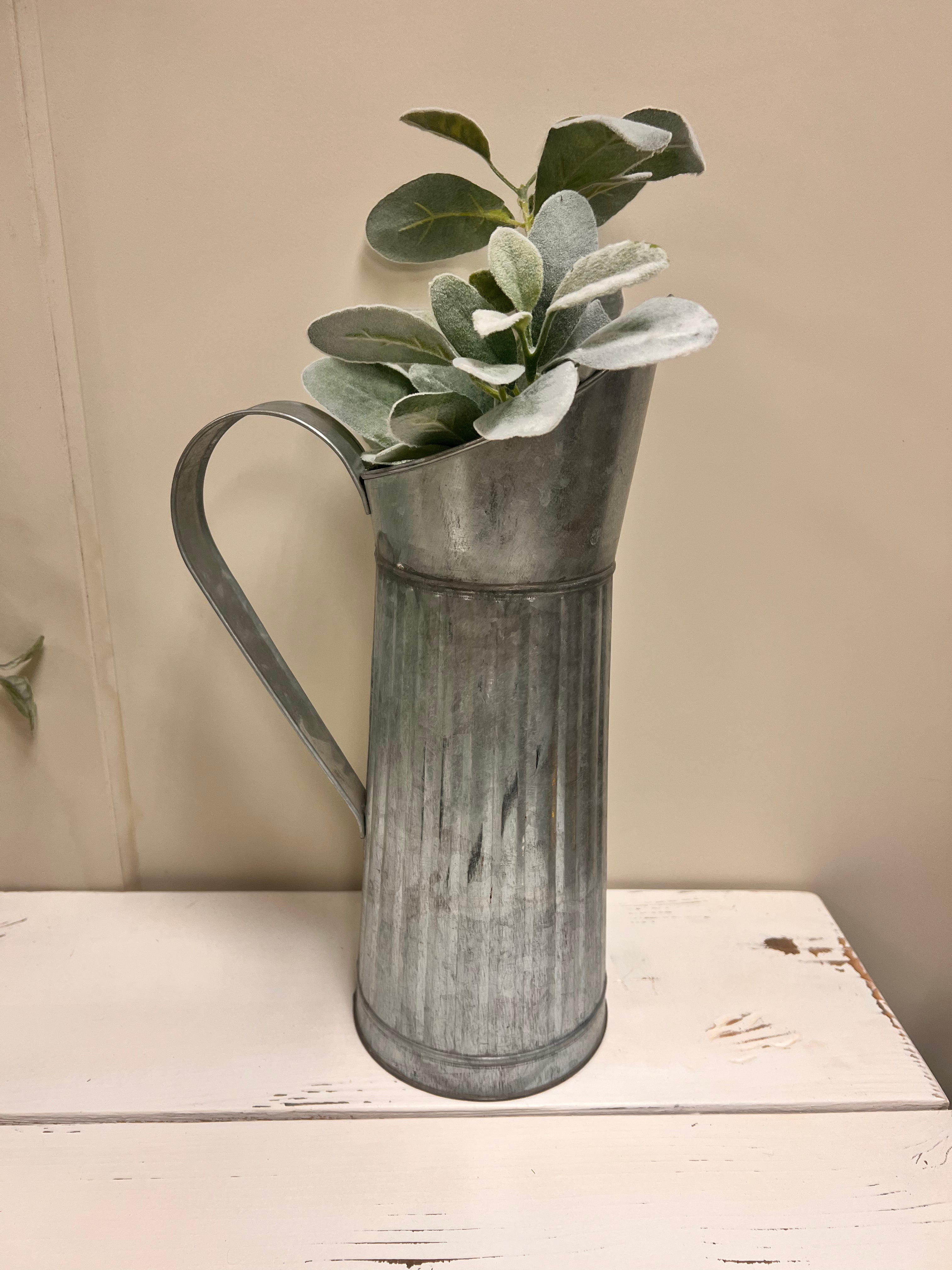 Pitcher & Plant
