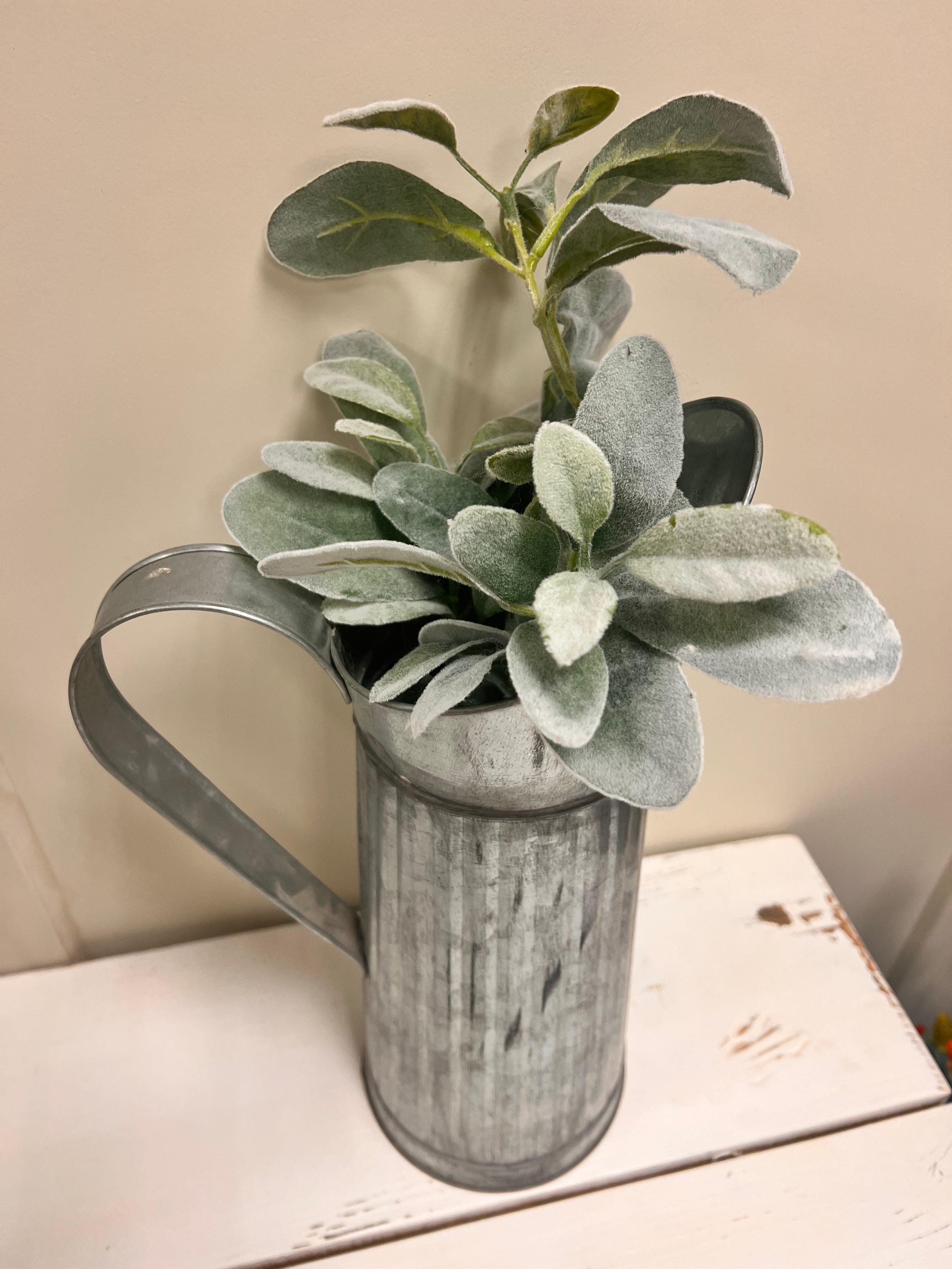 Pitcher & Plant