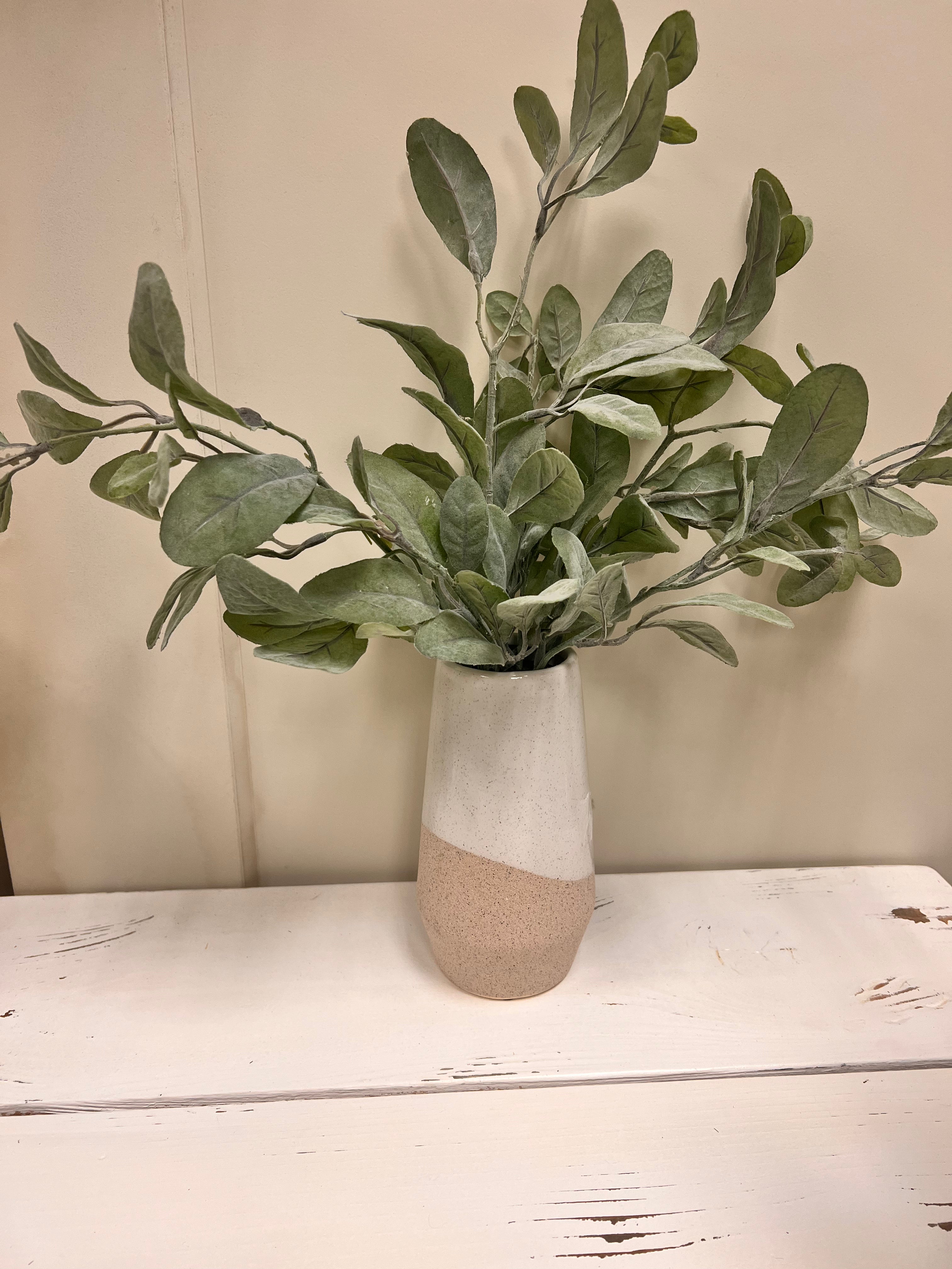 Vase & Plant