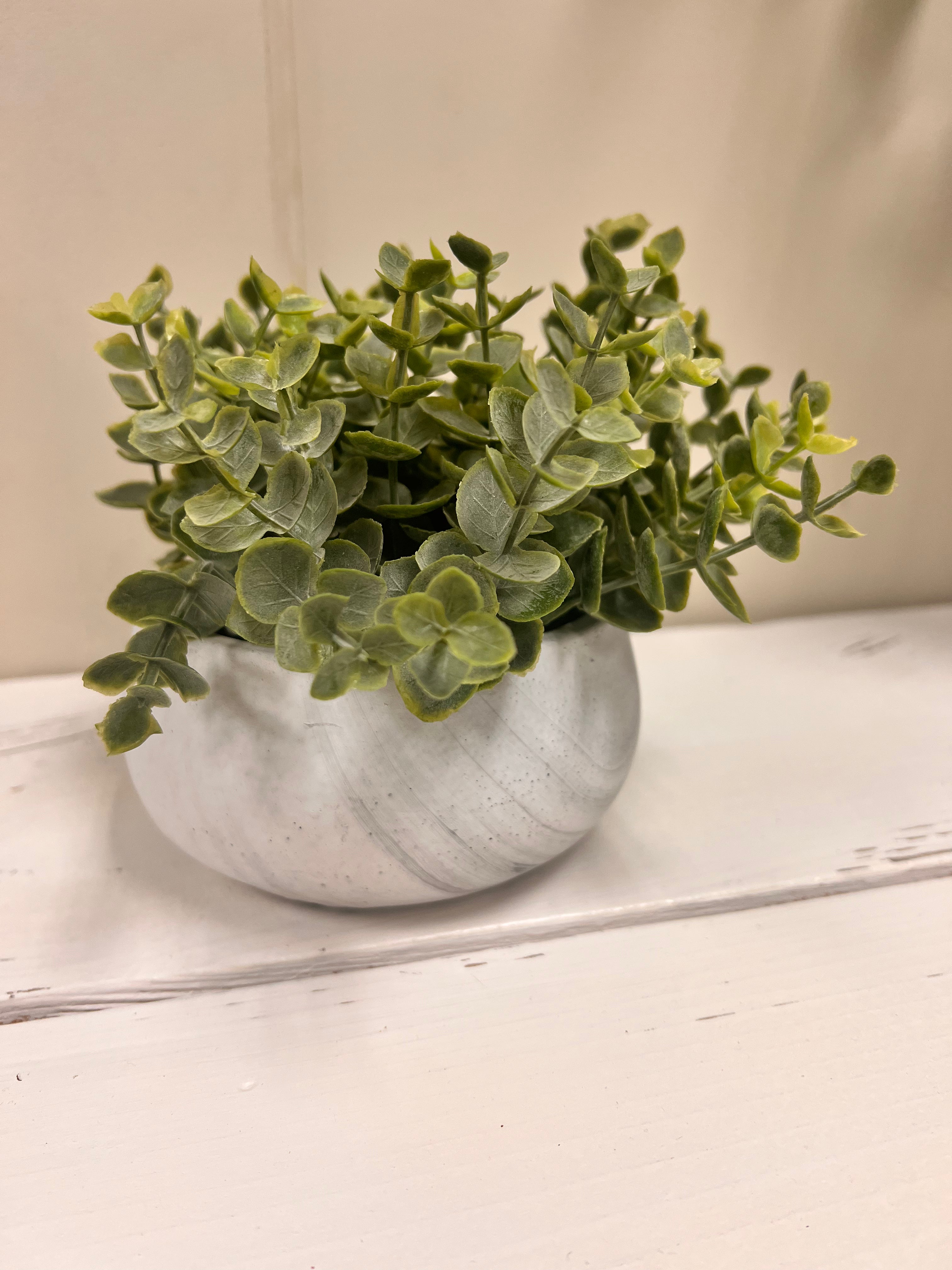 White Planter