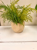 Small Plant