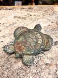 Turtle Coaster
