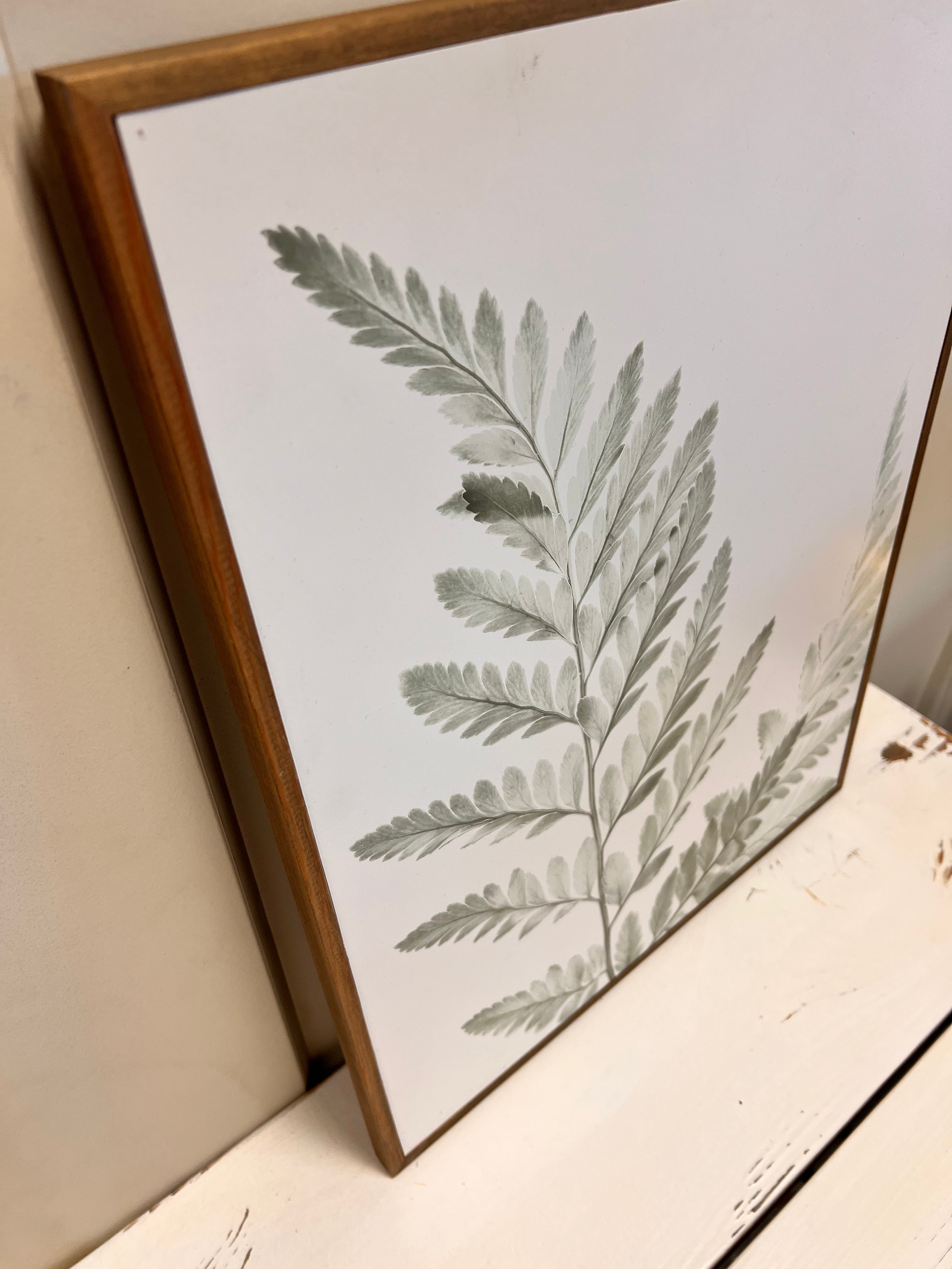 Leaf Picture