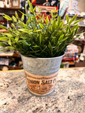 Plant Decor