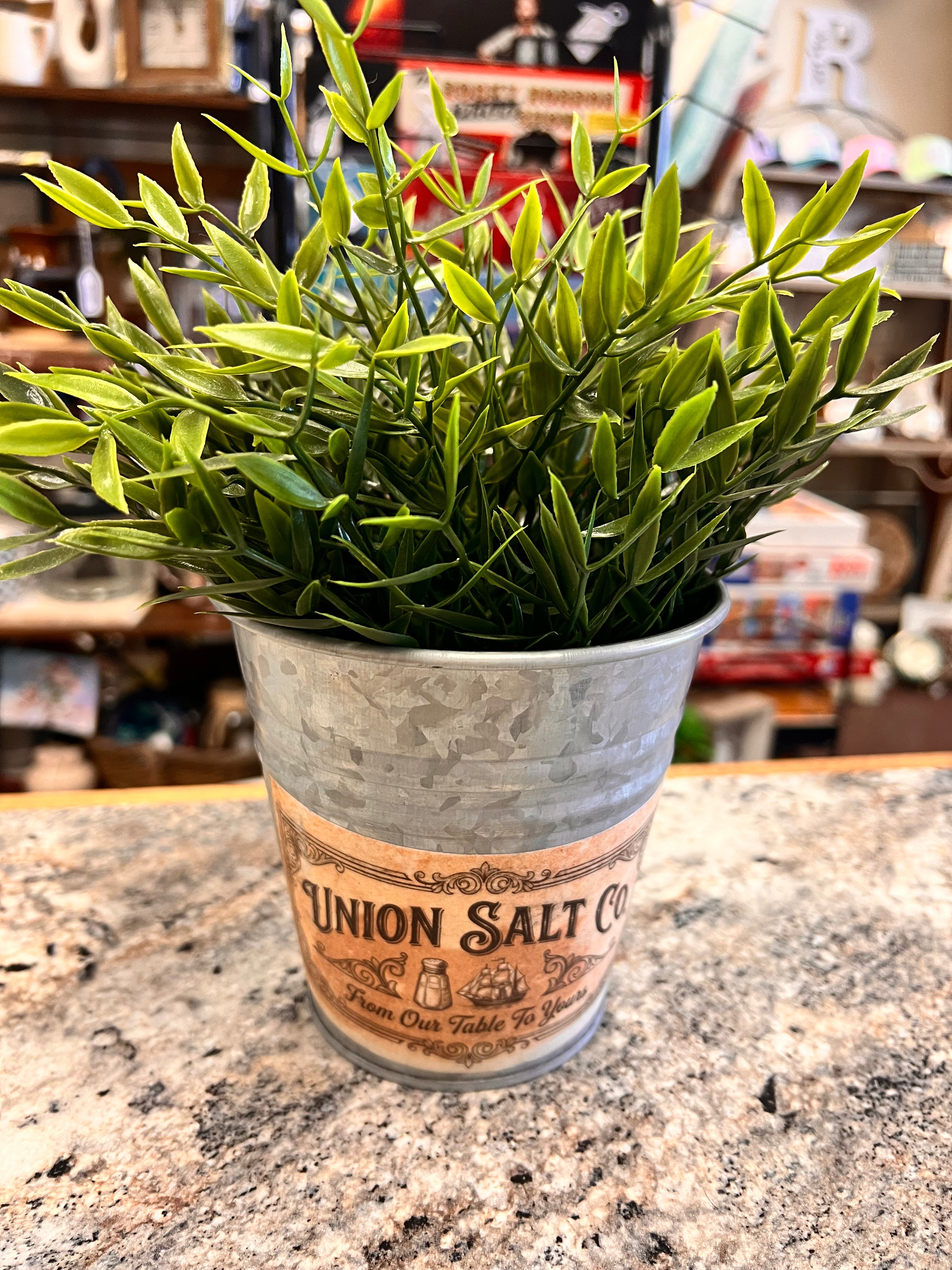 Plant Decor