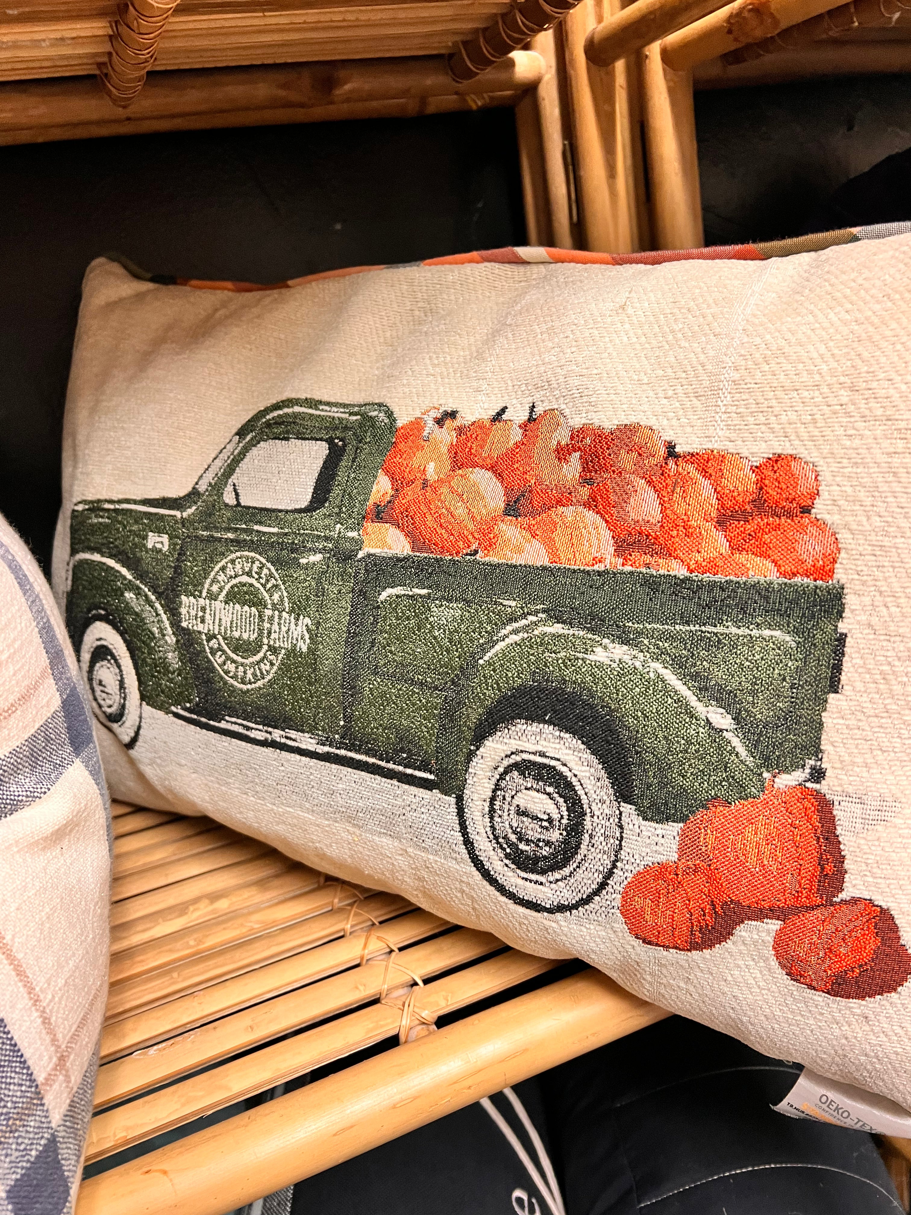 Pumpkin Pillow