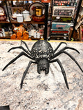 Spider Decor