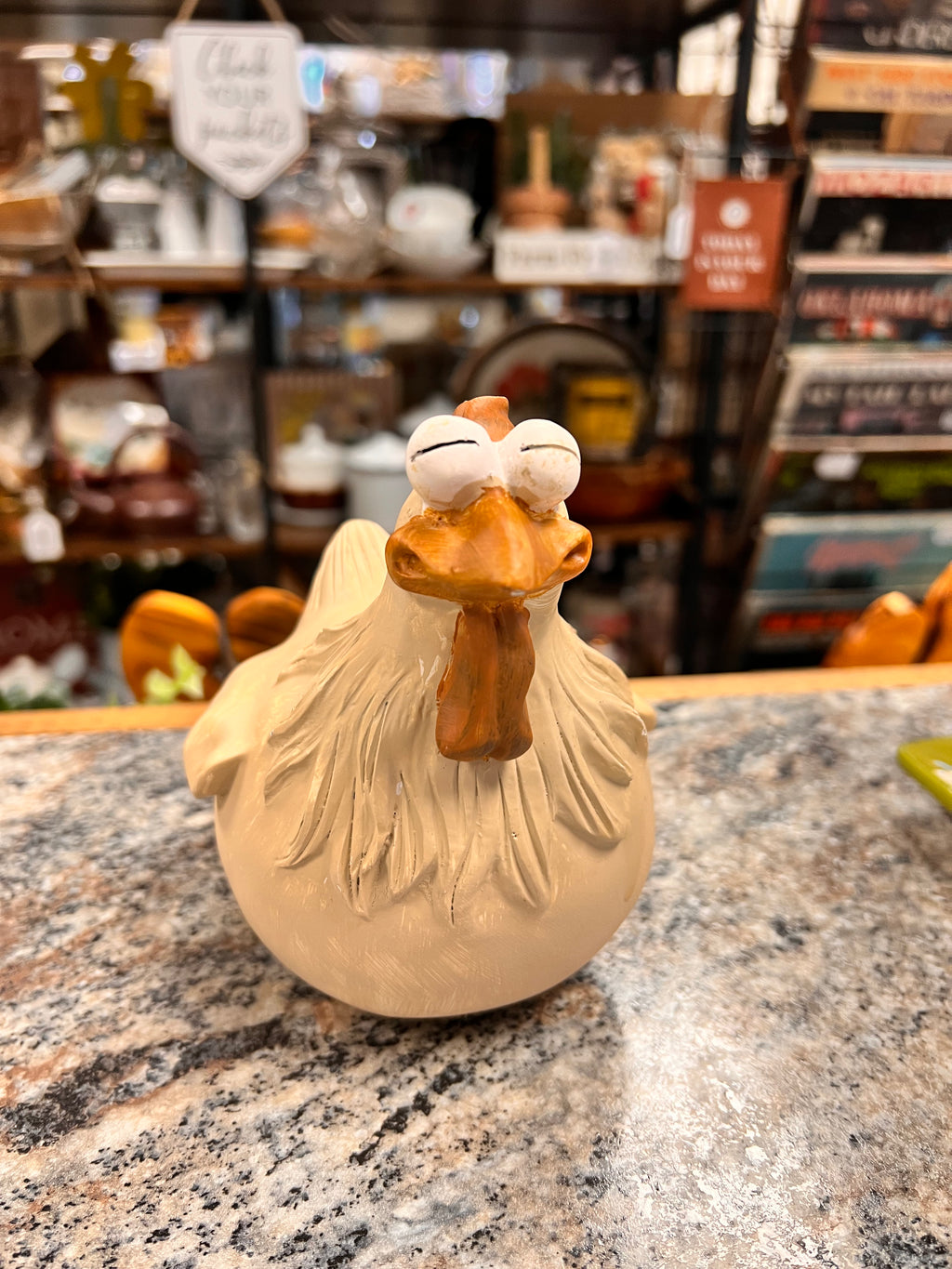 Chicken Fence Decor
